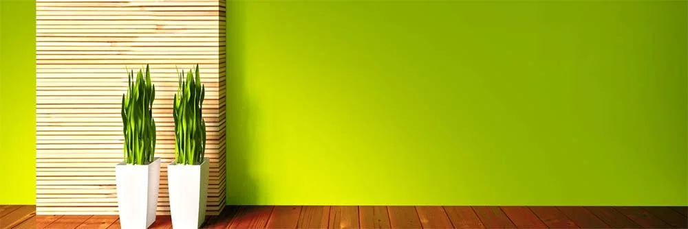 Modern interior green feature wall finished with Ramco Terrix spray plaster and paint system