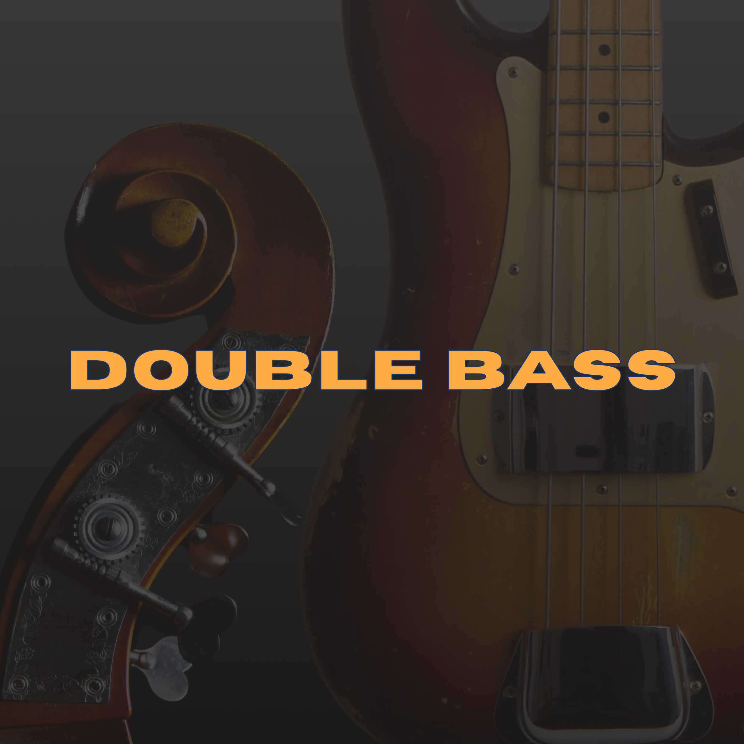 Close-up image of a double bass and an electric bass guitar with the text 'Double Bass' overlayed in orange capital letters.