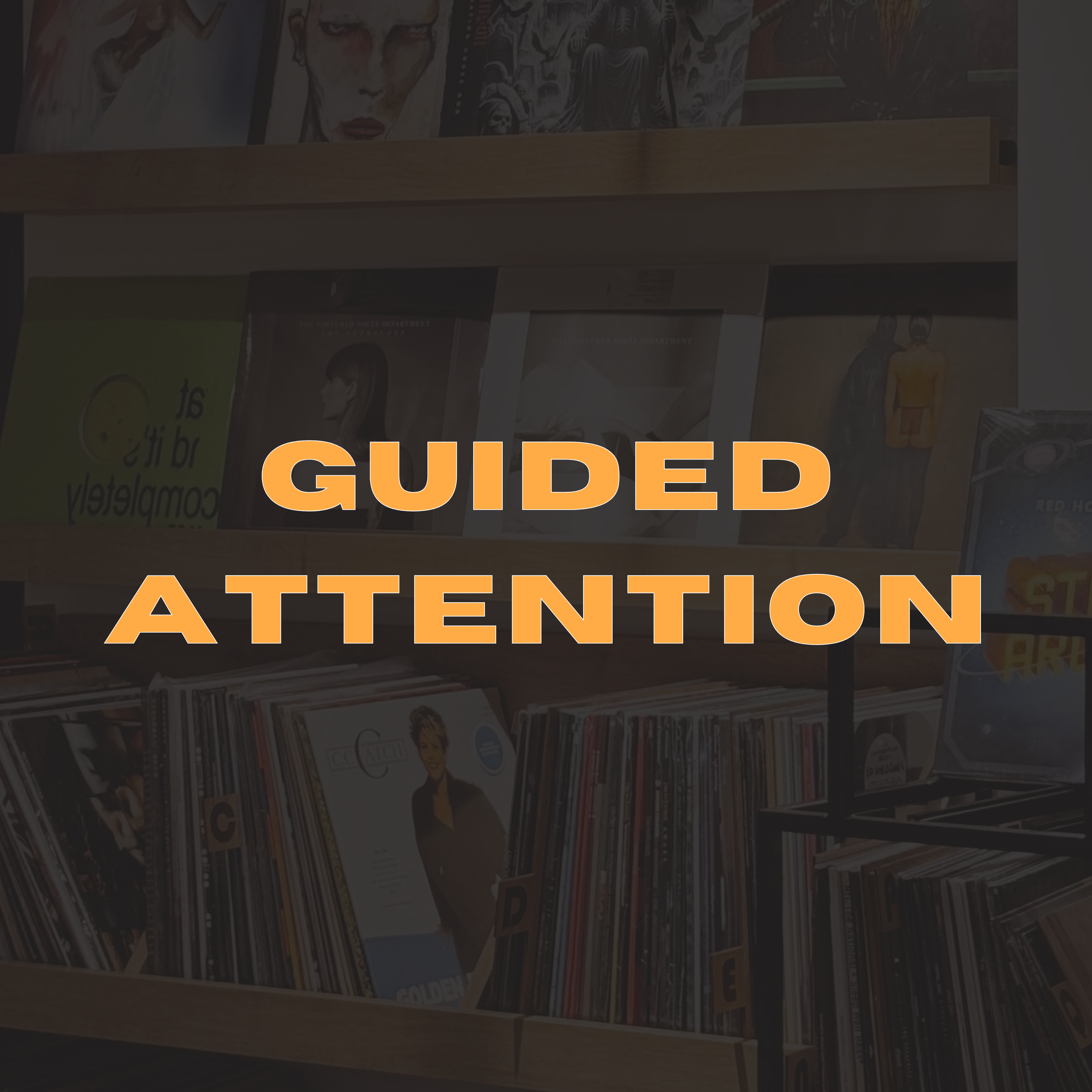 Shelf of vinyl records and magazines in a store, with a sign overlay that reads 'Guided Attention' in bold orange letters.