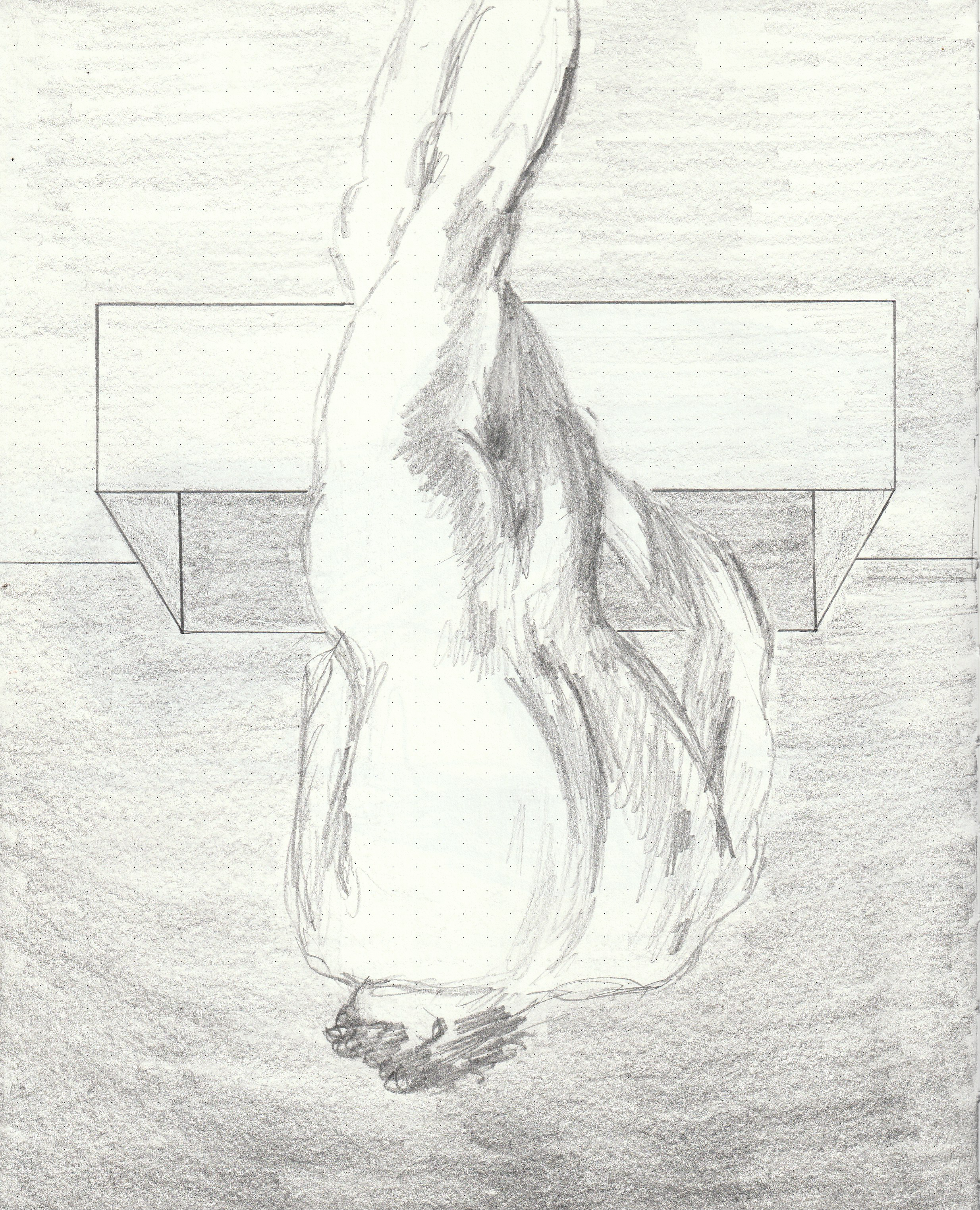 IMG_20260308_0009.png