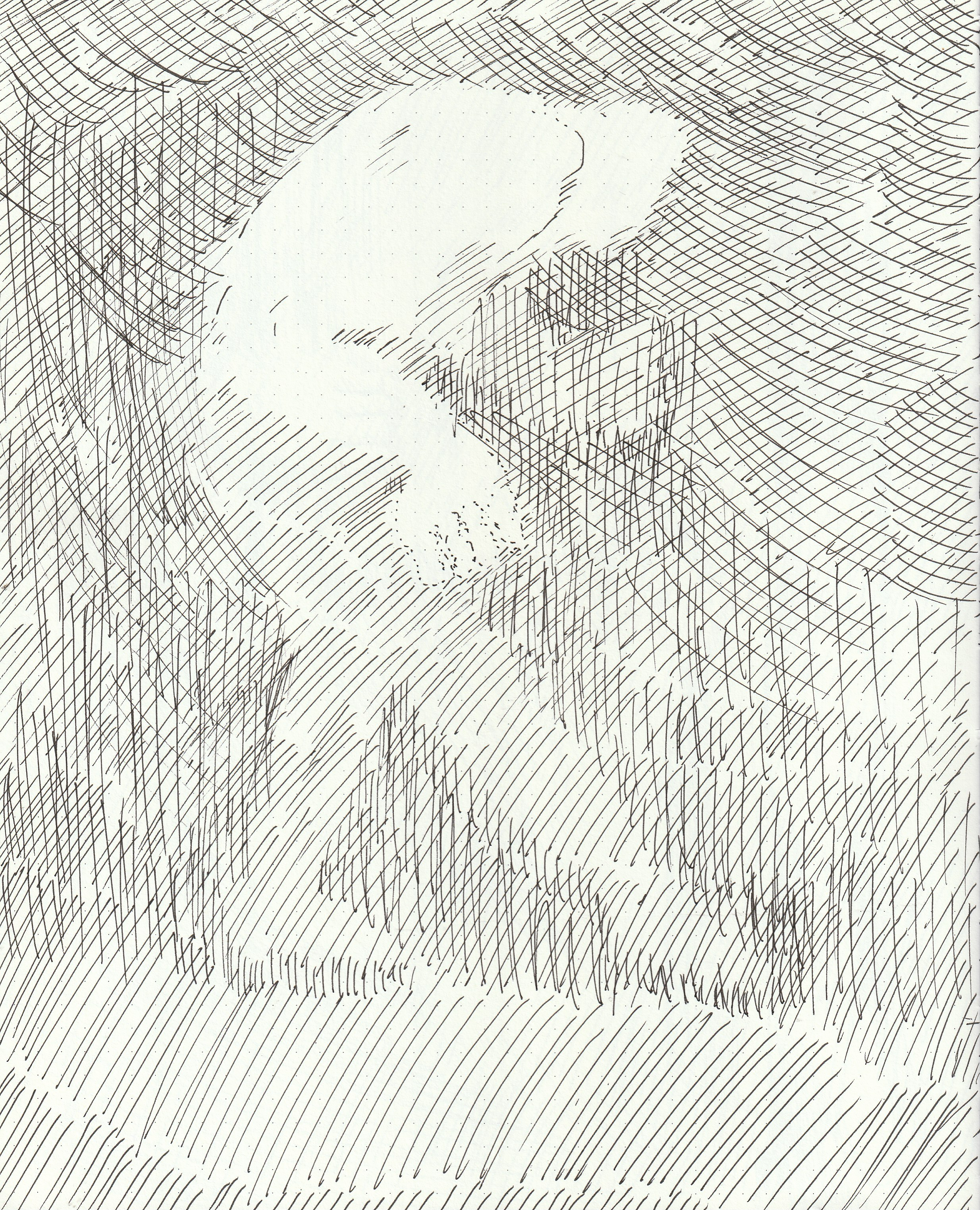 IMG_20260308_0016.png