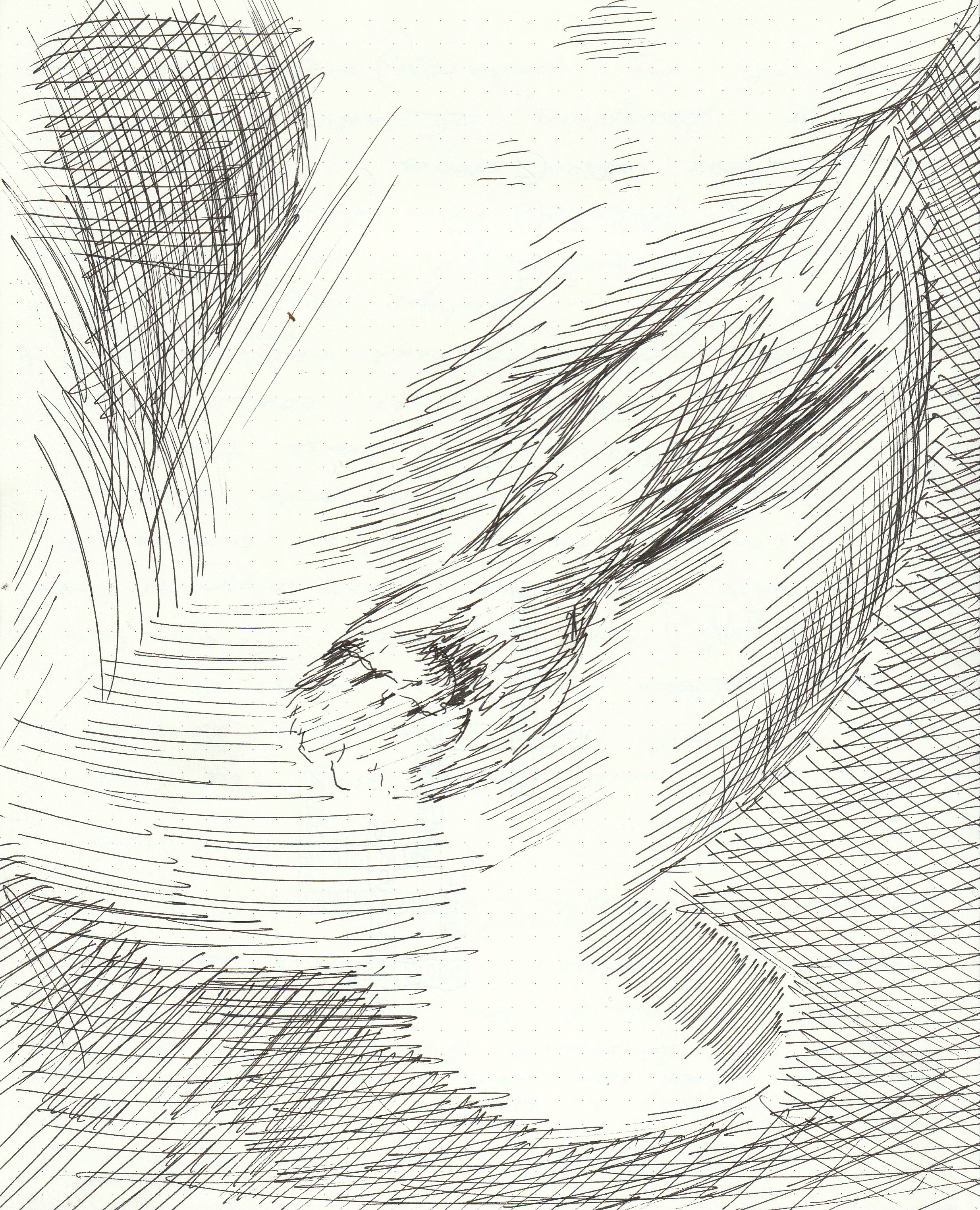 IMG_20260308_0022.png