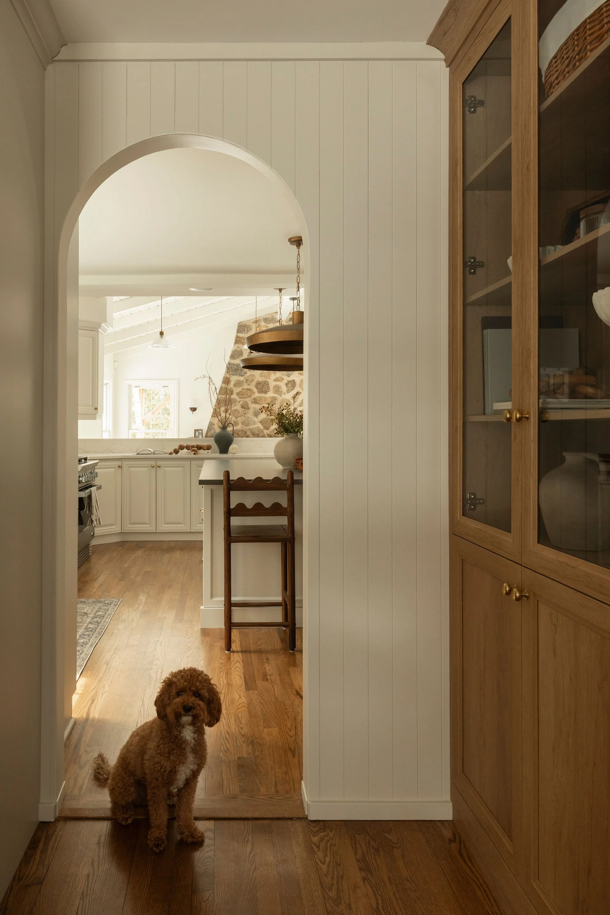 M ton intérieur-rénovation-cuisine-chien.JPG