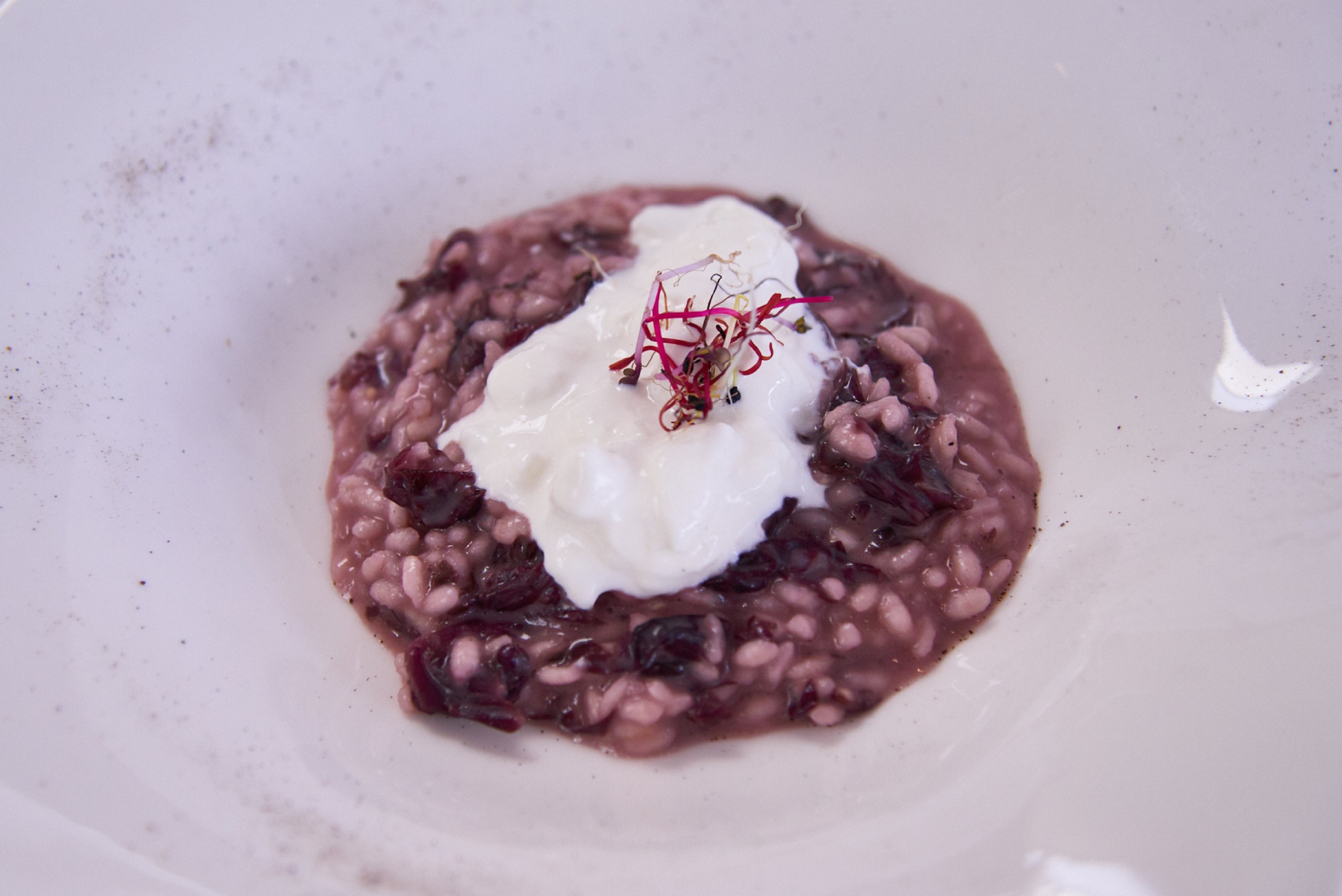 Risotto Corvina and radicchio of Verona