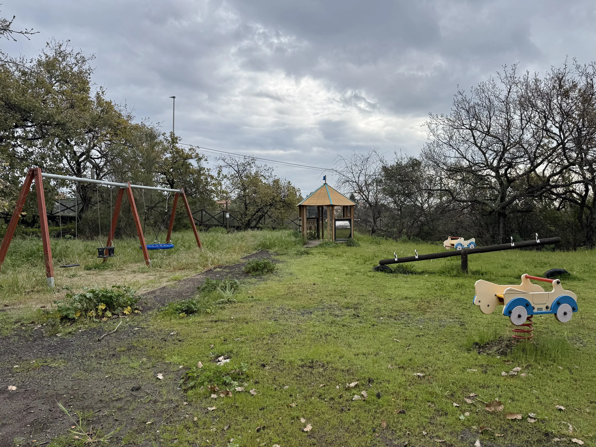 IMG_5431.jpeg