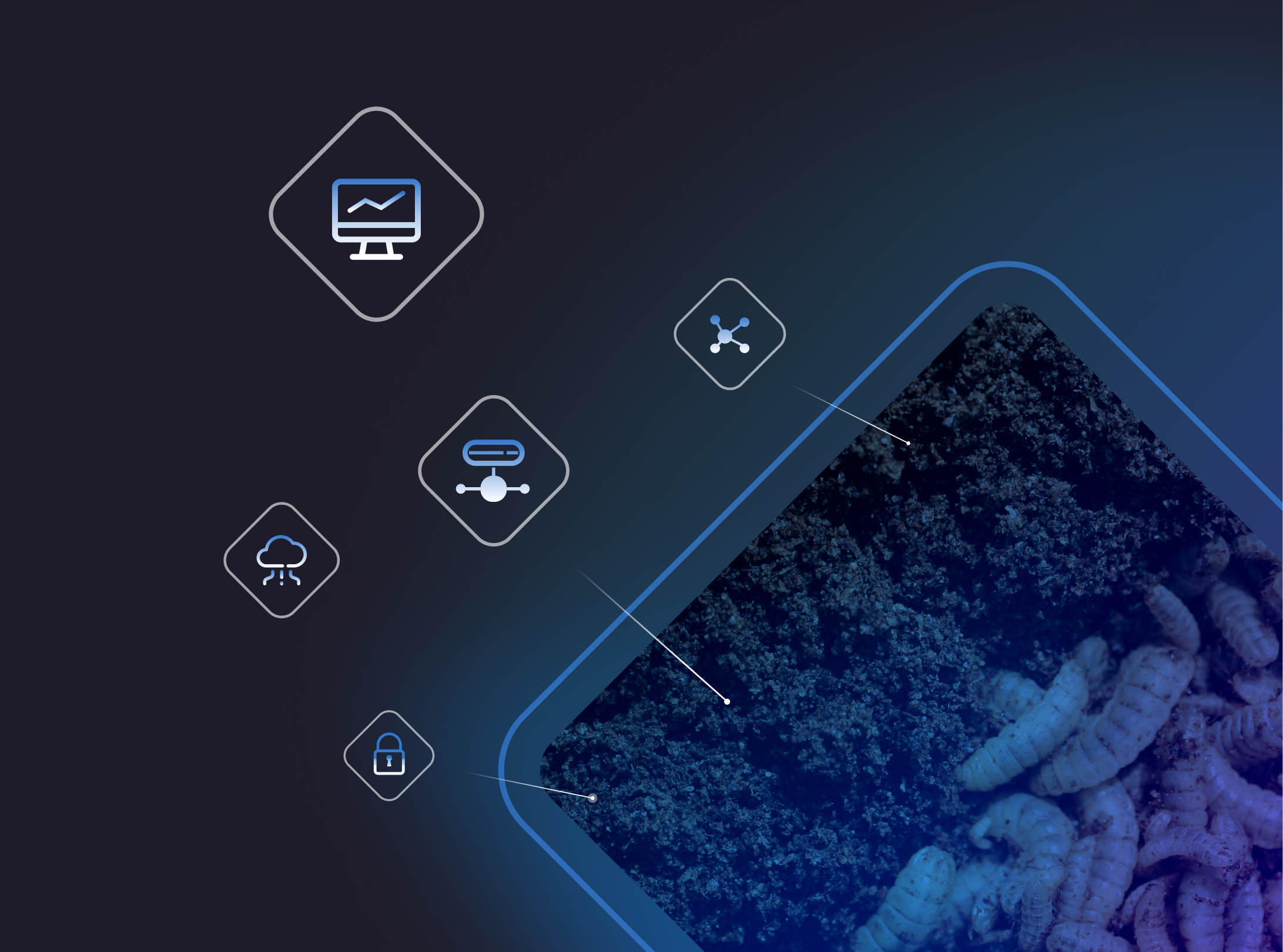 Cogastro - software for managing insect farms