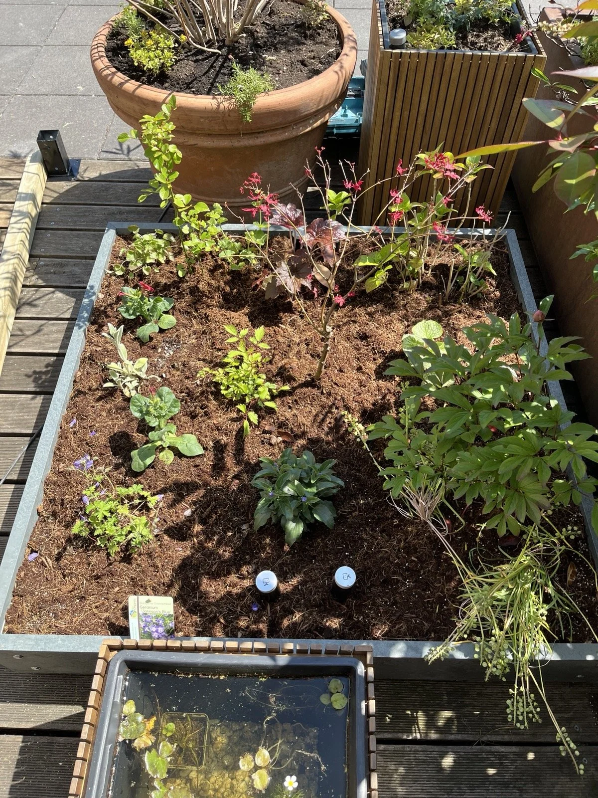 lage bakken met border beplanting