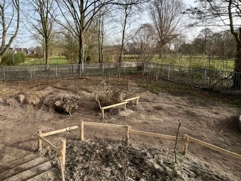 6 maart 2026 wilgentenen plaatsen