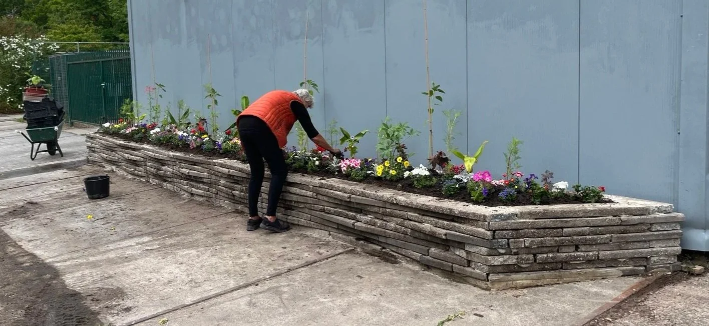plantjes