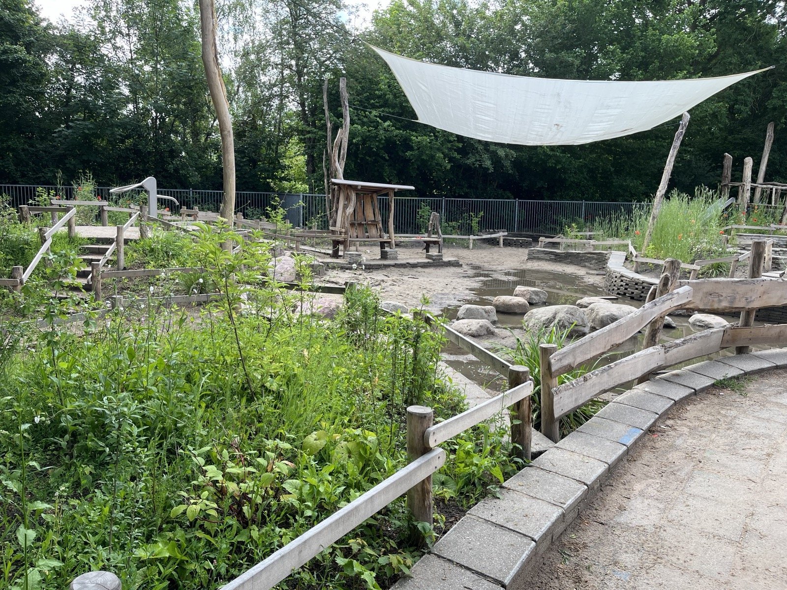 zelfs het bosplantsoen is helemaal groen
