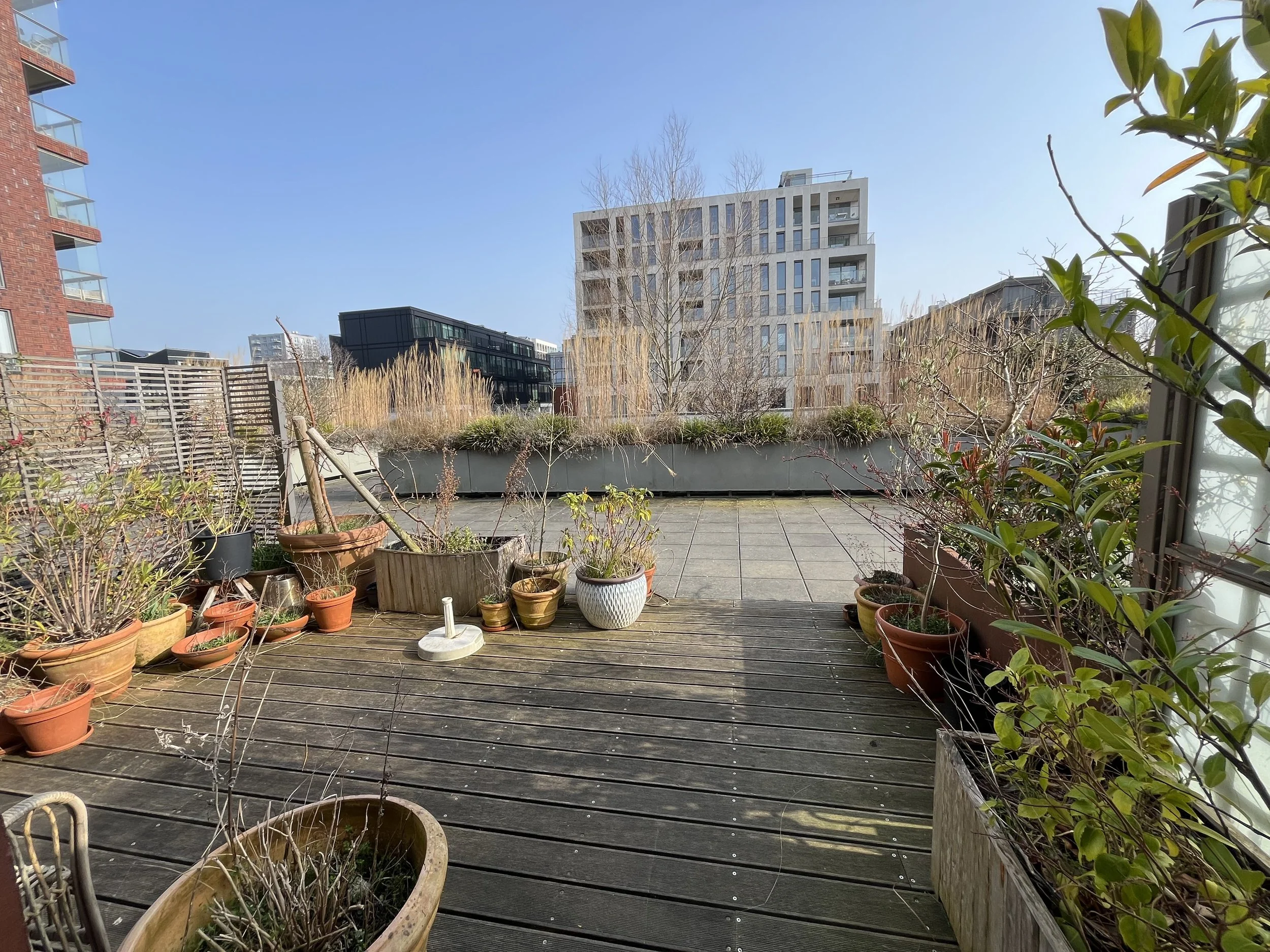 uitgangspunt - veel vlonder, veel kleine potten met uitgedroogde planten