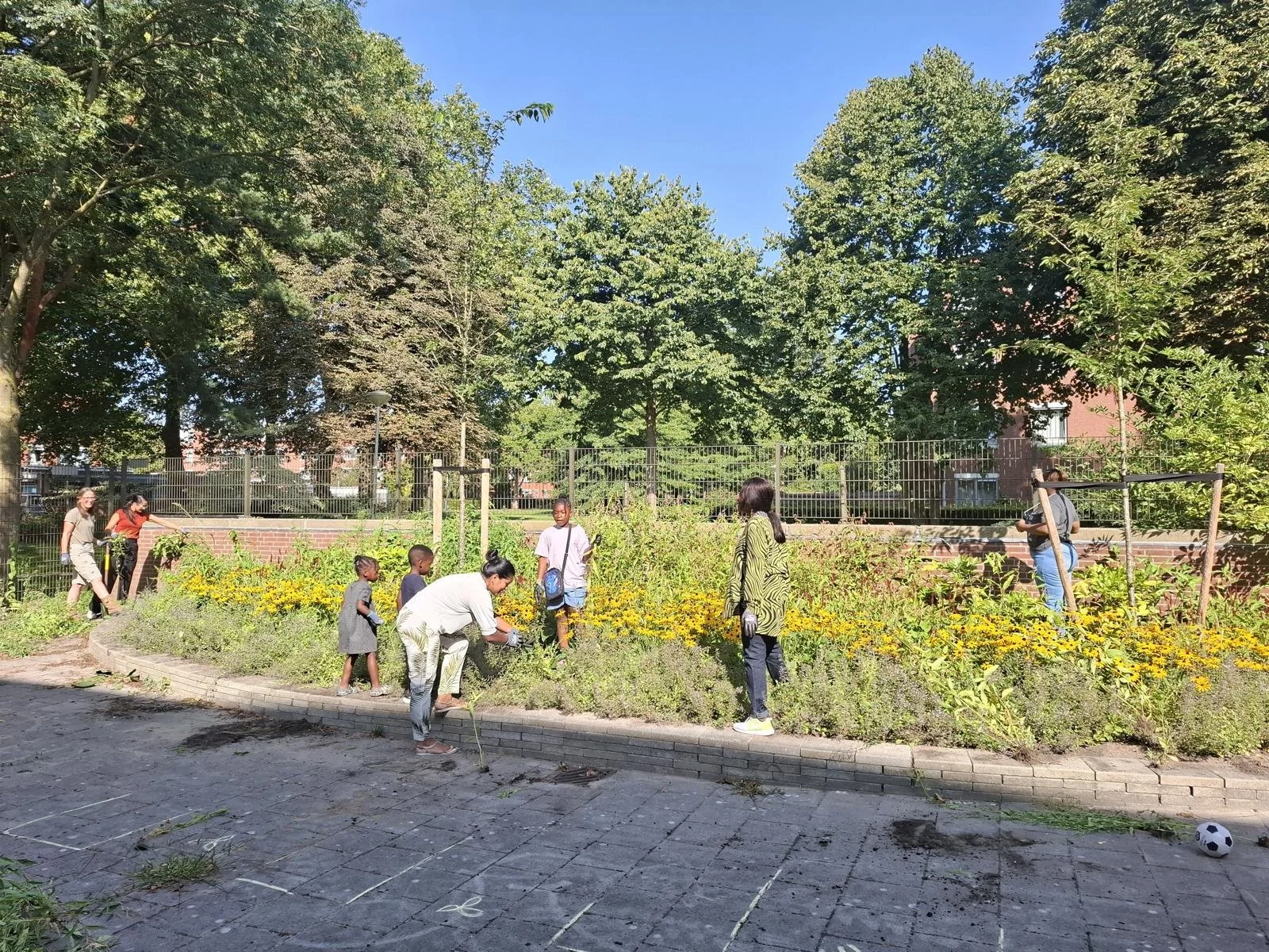 eerste dag onkruid widen met de alle kinderen