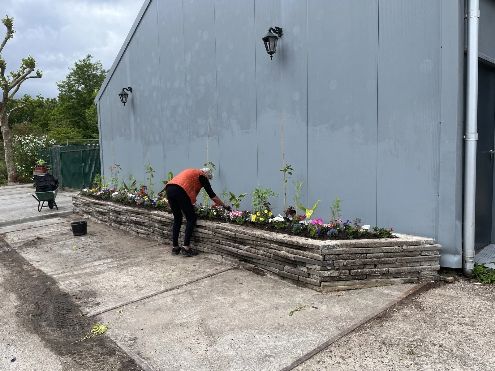plantjes