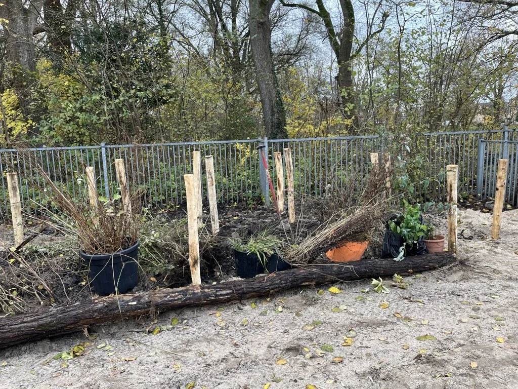 begin december 2025 planten