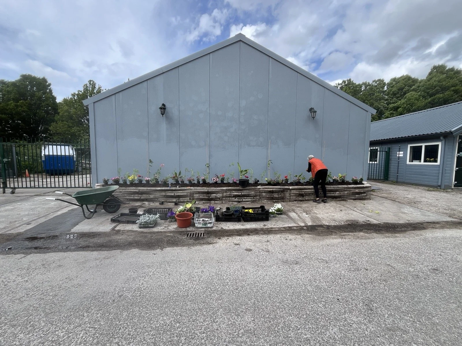 de plantjes uizetten