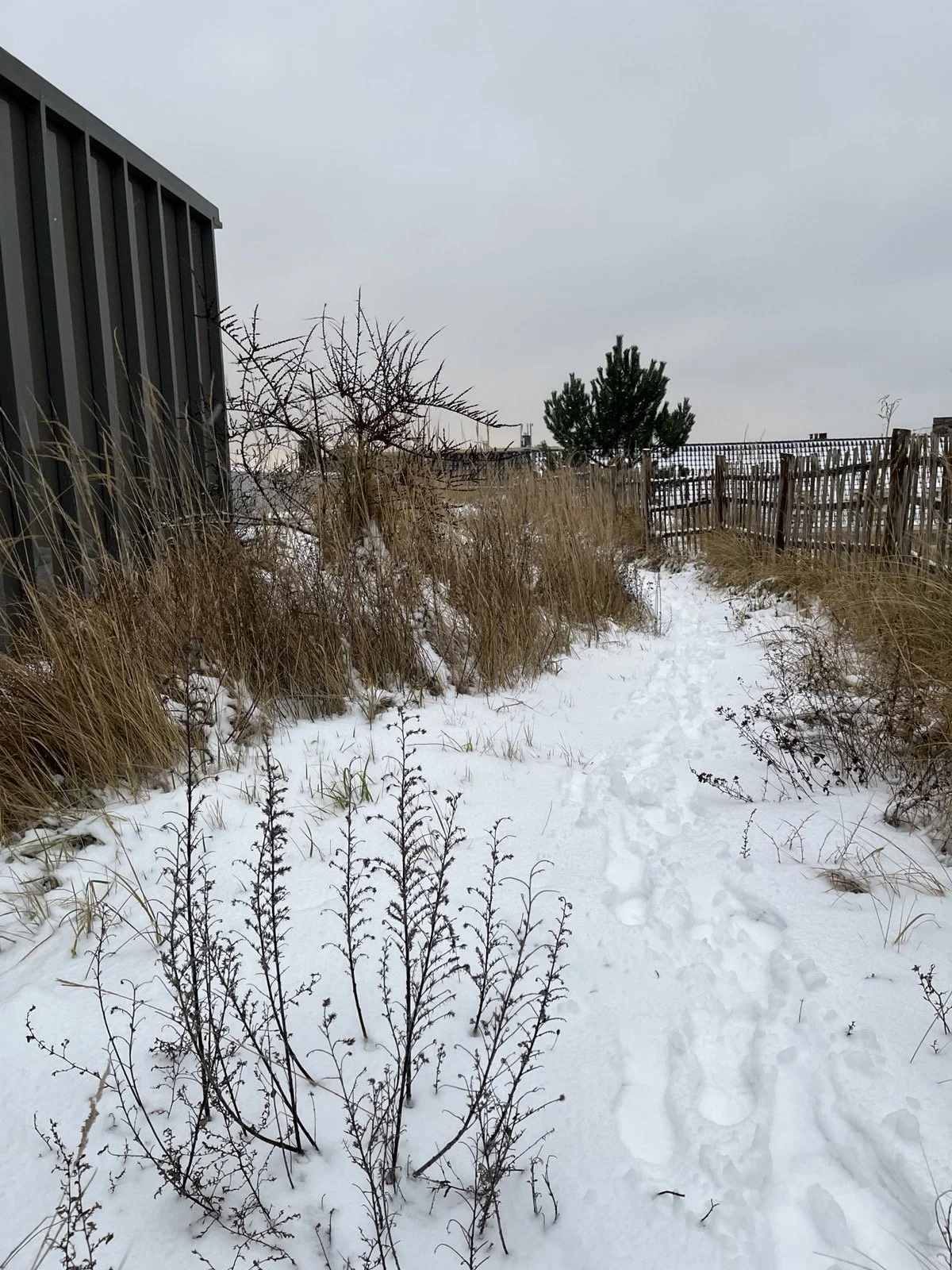 2025-2026 winter