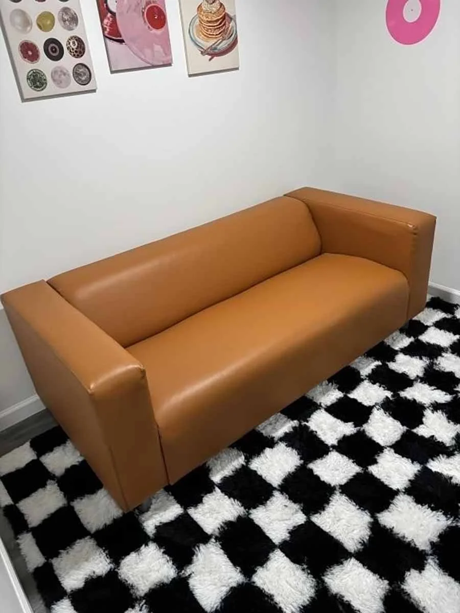  sofa rug, and furniture 