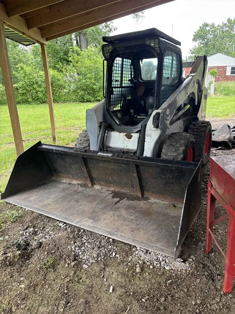  bobcat 
