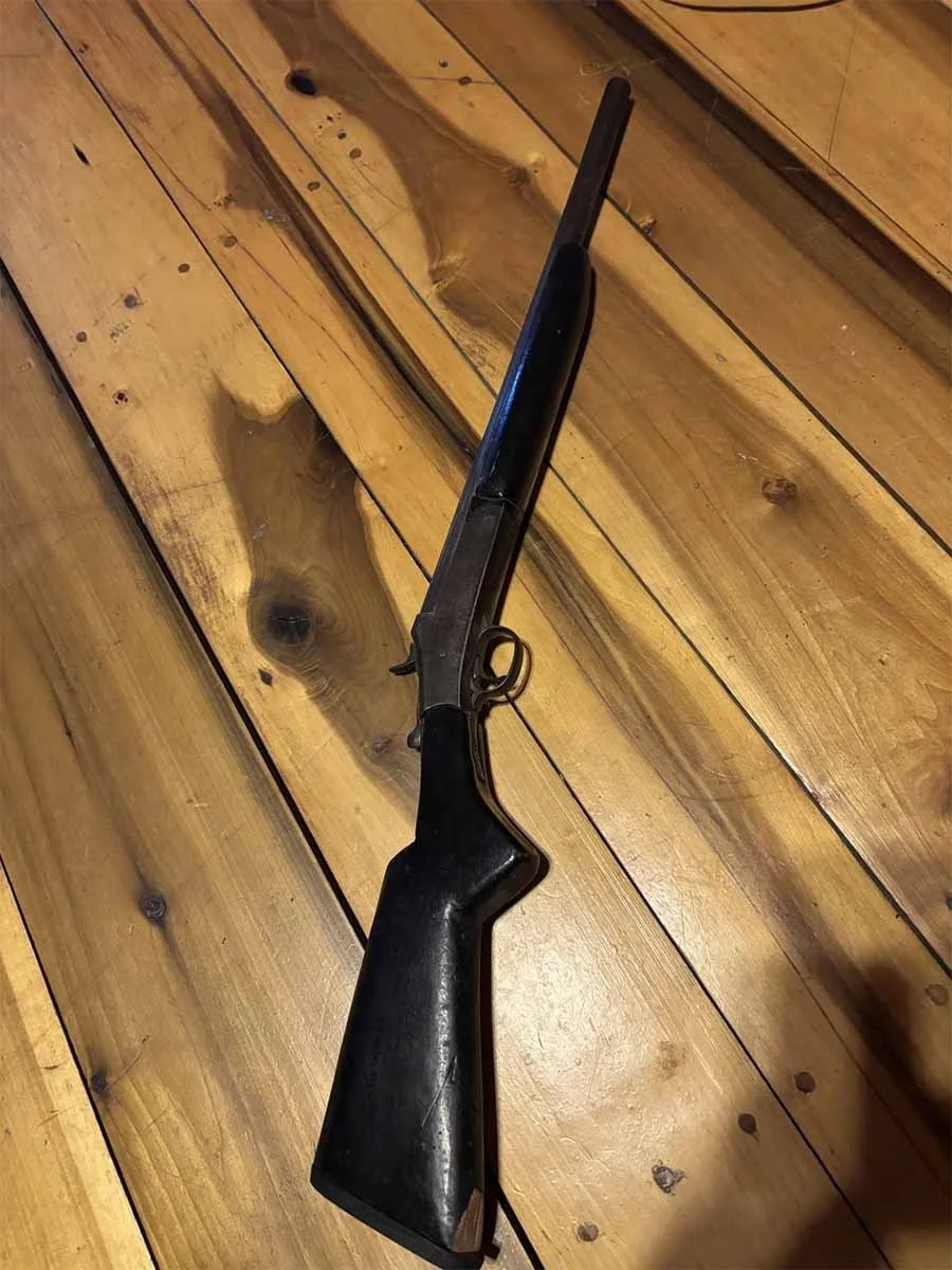  firearms 