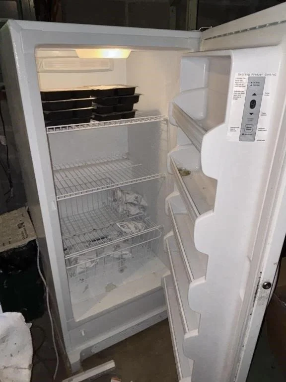  upright freezer 