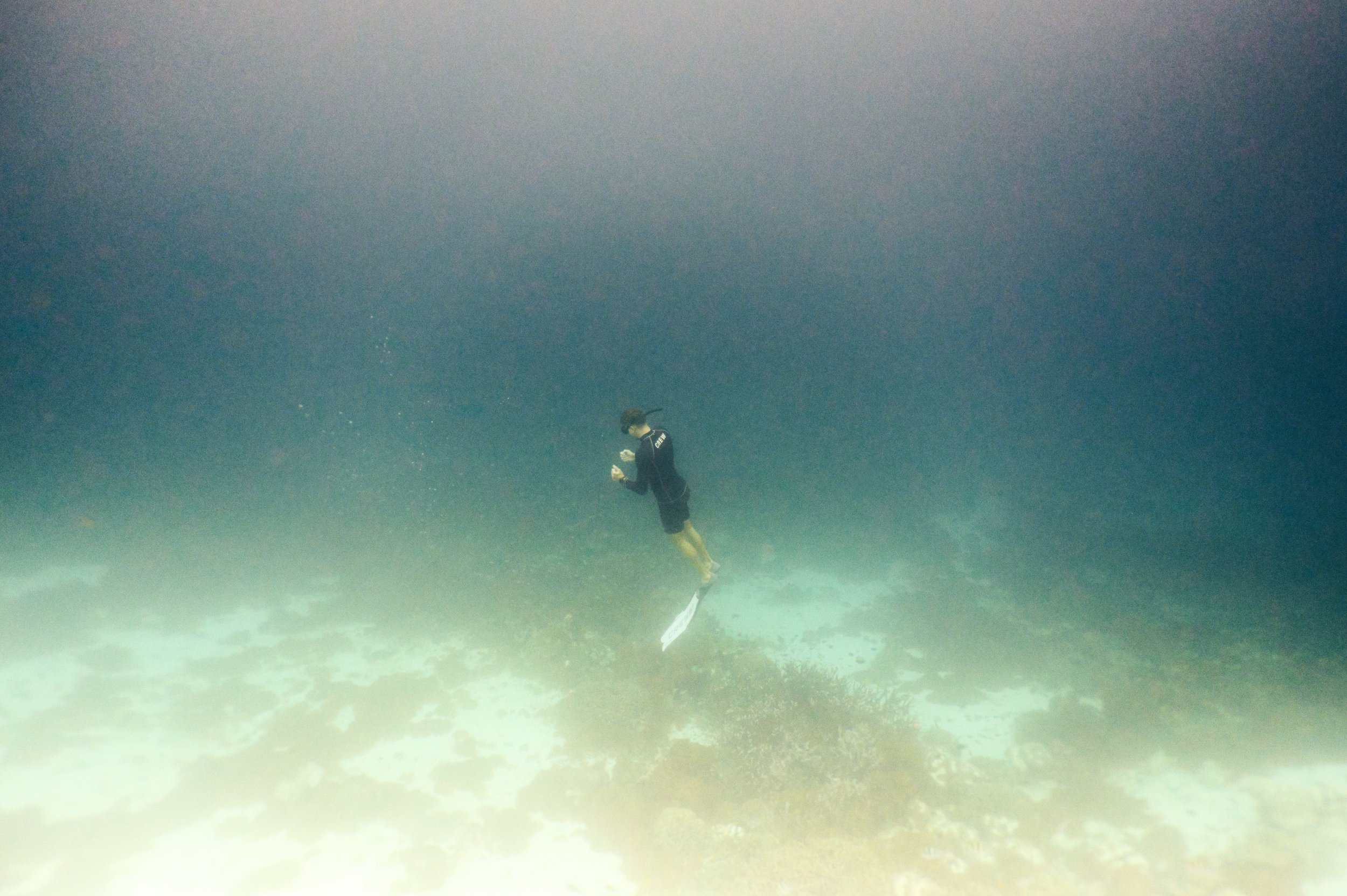 MatthewCylinder_RajaAmpat_SC_Underwater_Divers_130.jpg