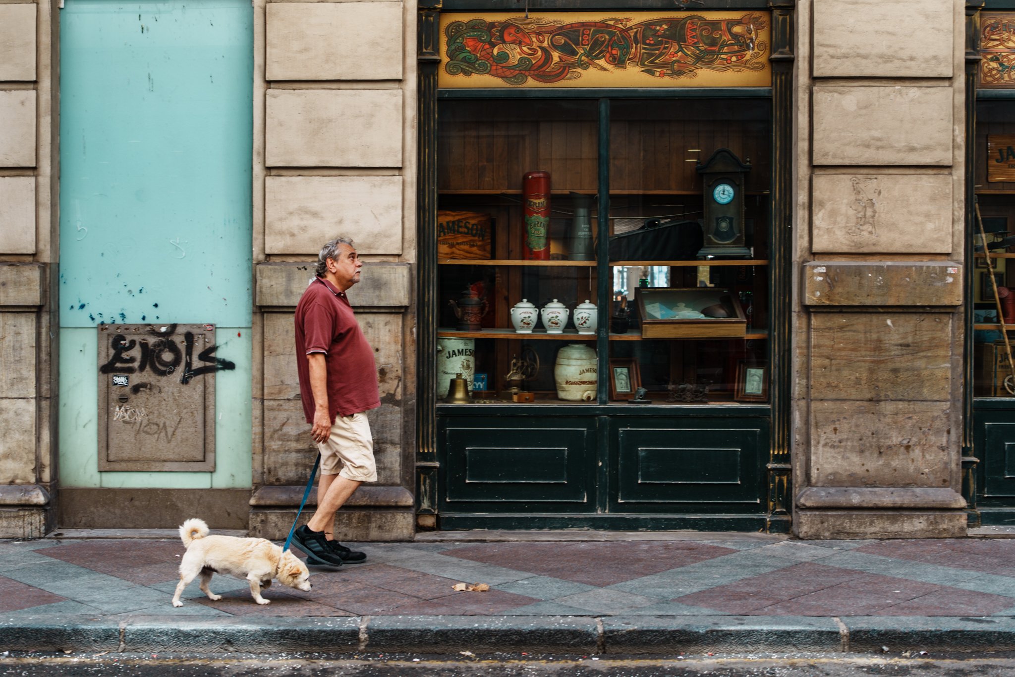 perro alicante.jpg