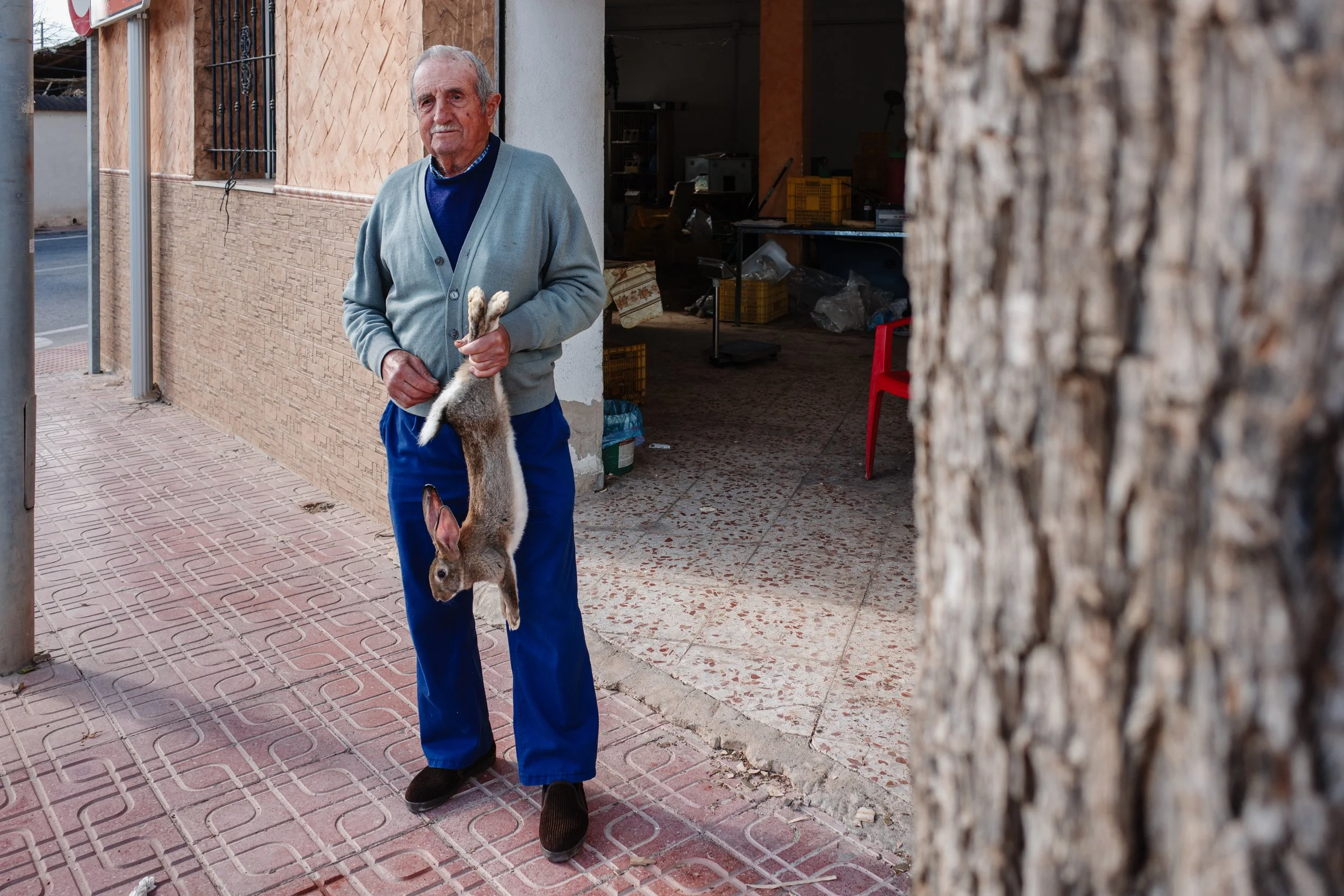 San Fulgencio Recogida Gallina-19.jpg