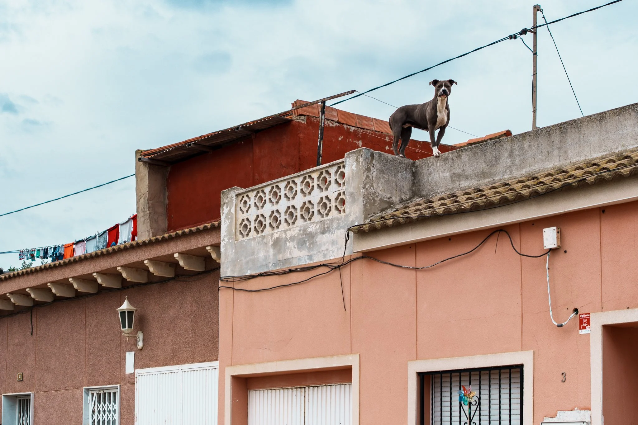 San Fulgencio, 2025, ES