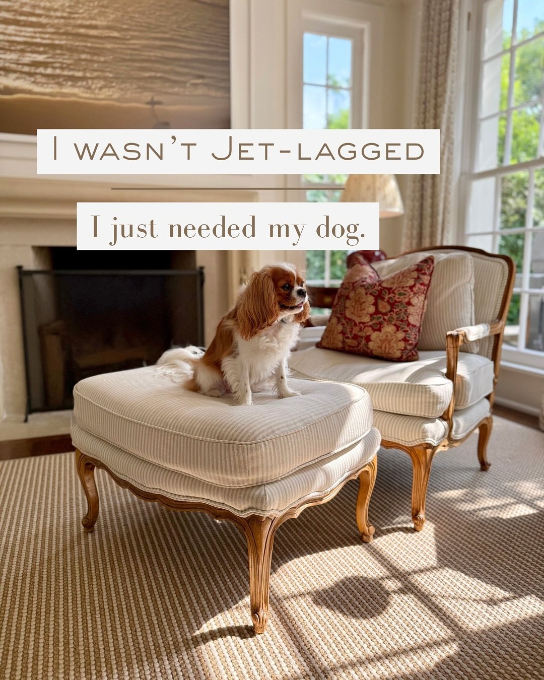 My international travel re-entry program includes dog snuggling, taming my overgrown herb garden, dressing like a fully-awake human (ALLEGEDLY), and detoxing from all the 🐖 🦞 🍷 🍸 🍹