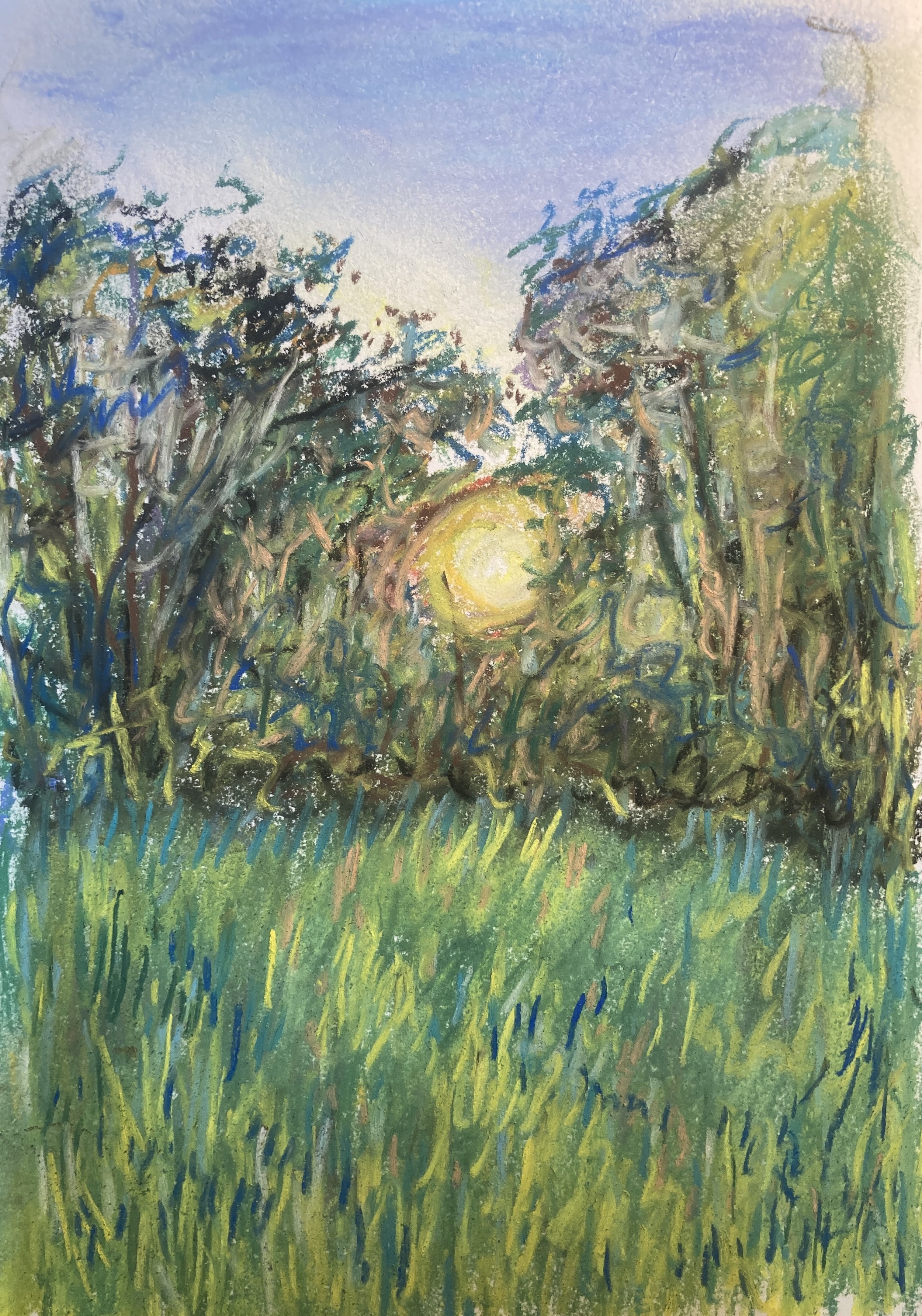 Soft pastel på papir i passepartout og hvis træramme (25,5 x 19,5) (SOLGT)