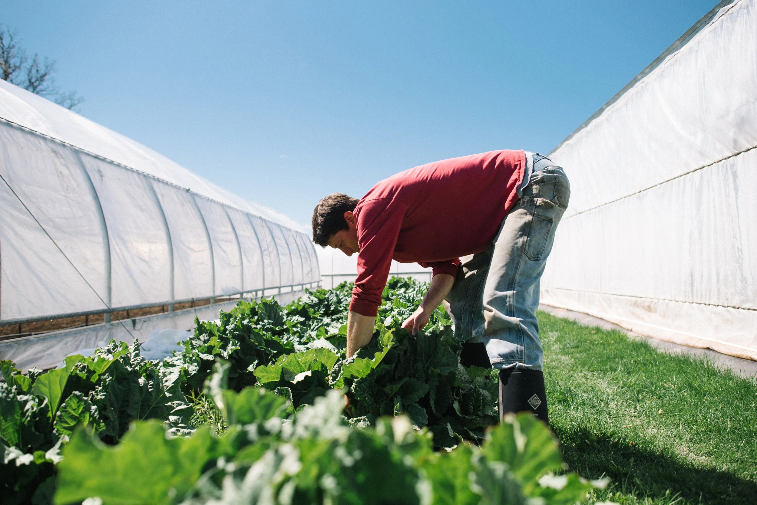 Vikre (29 of 293).jpg