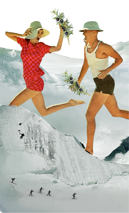 Boreal Juniper Gin — Vikre