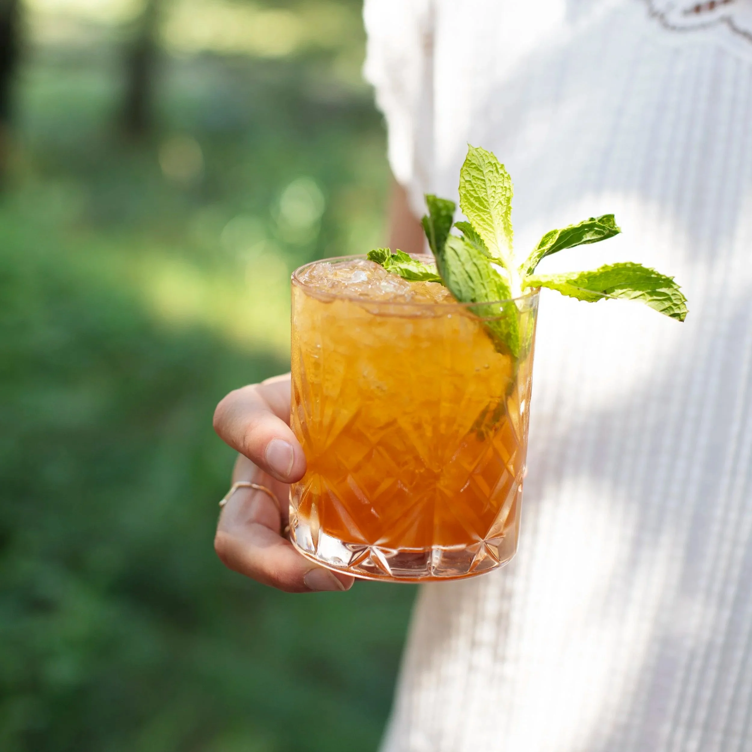 Image of a Jungle Bird Cocktail made with aquavit
