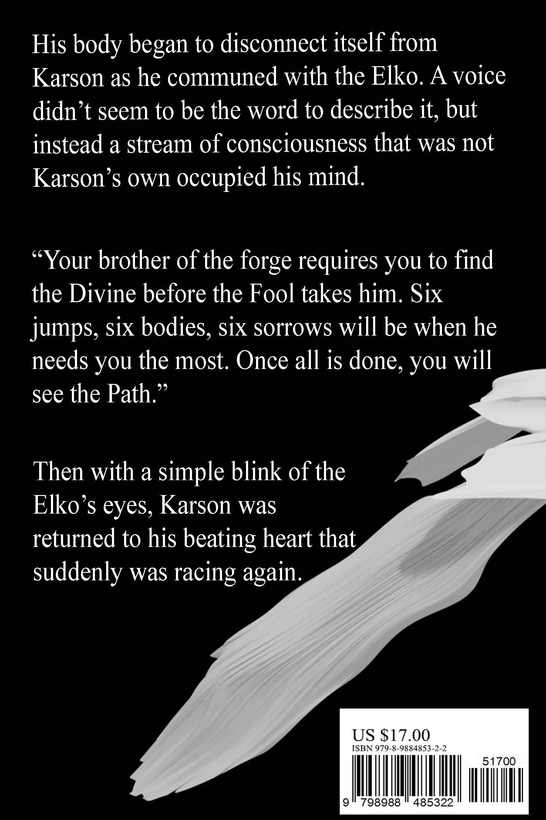 Softcover Backcover.jpg
