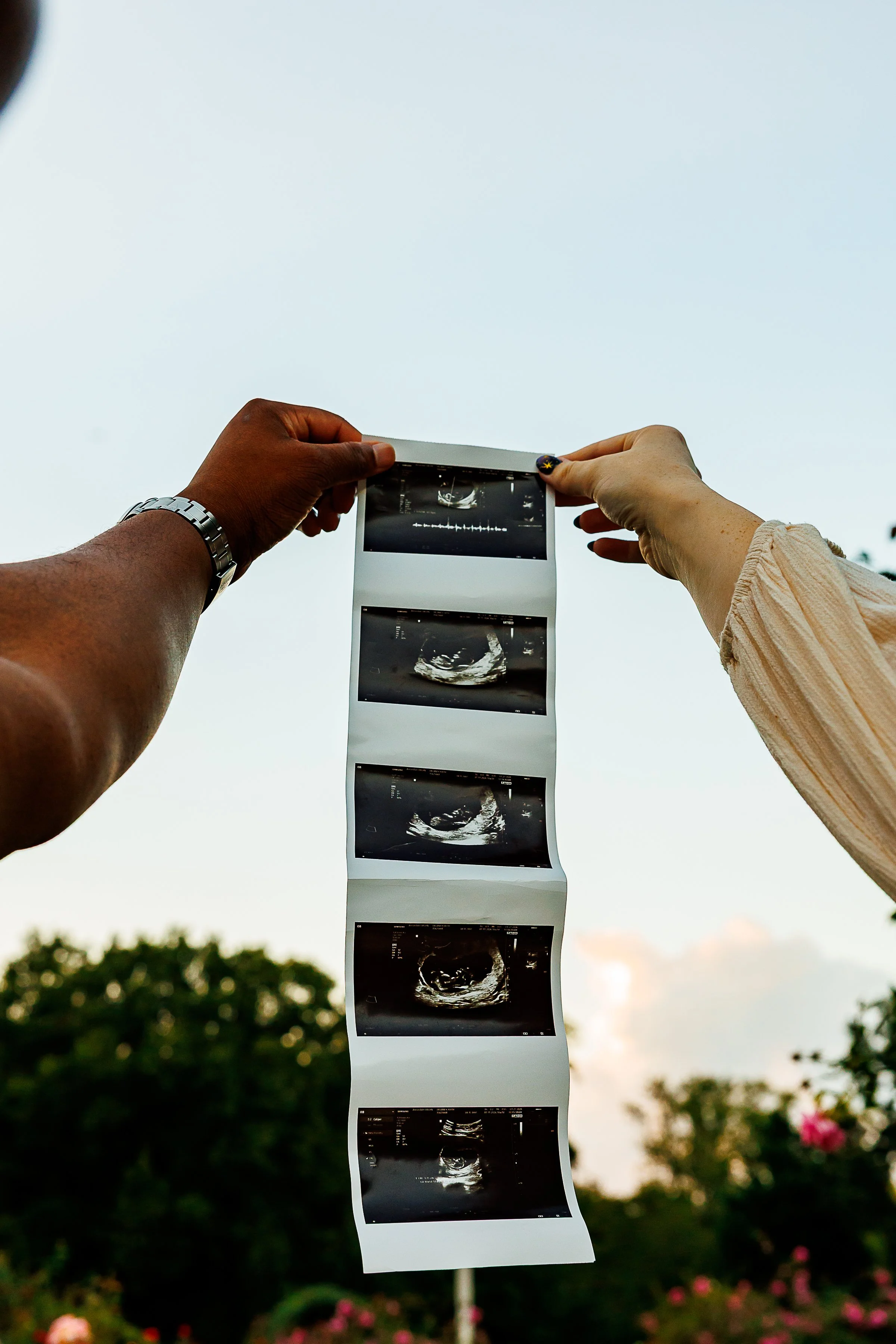 interracial couple holding a strip of ultrasound photos up to the sky at Bon Air Rose Garden in Arlington, VA.