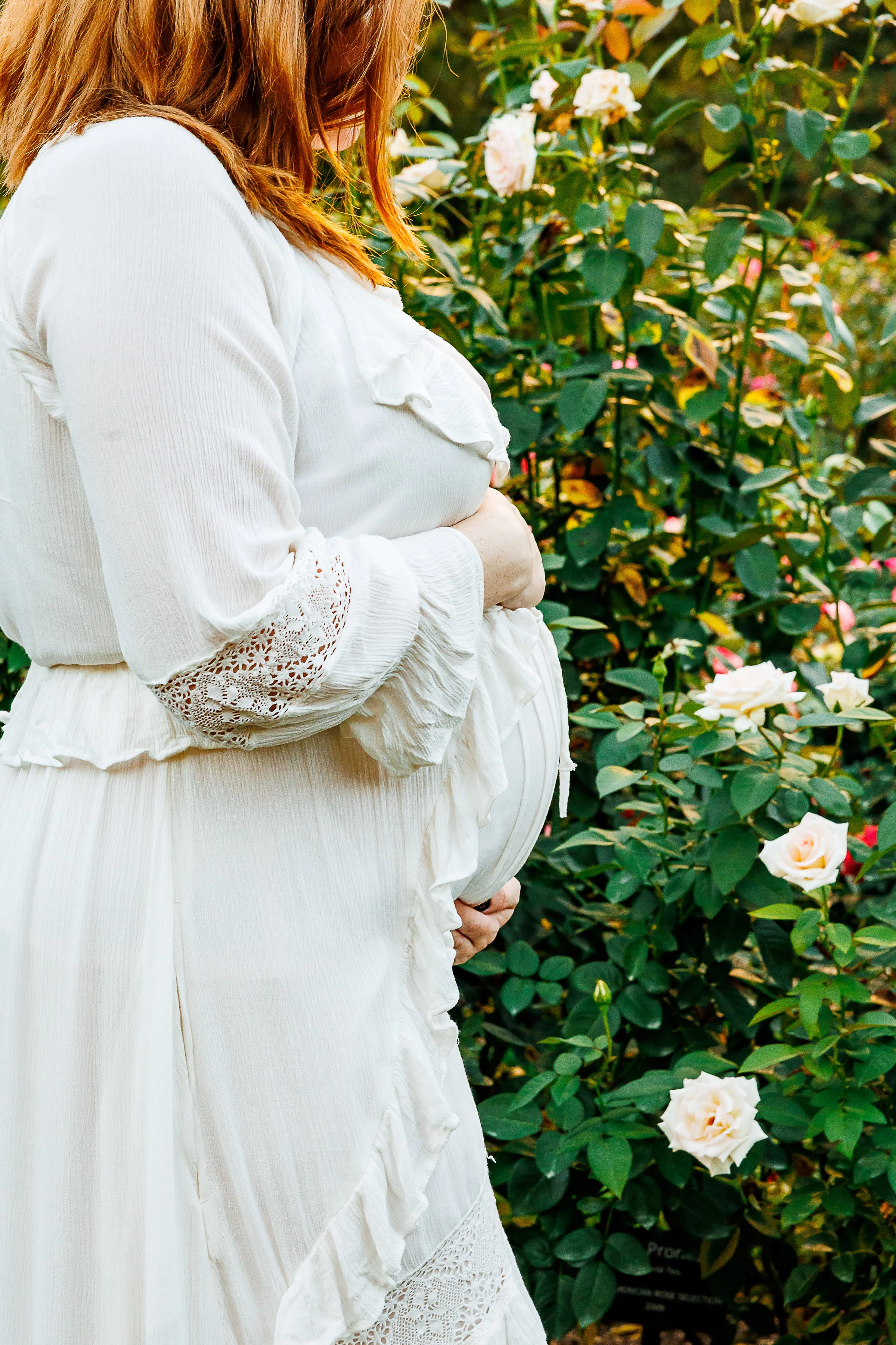 Expectant mother in a flowing white lace-trimmed dress with ruffles, cradling her baby bump while standing among cream and blush roses at Bon Air Park Rose Garden in Arlington, Virginia.