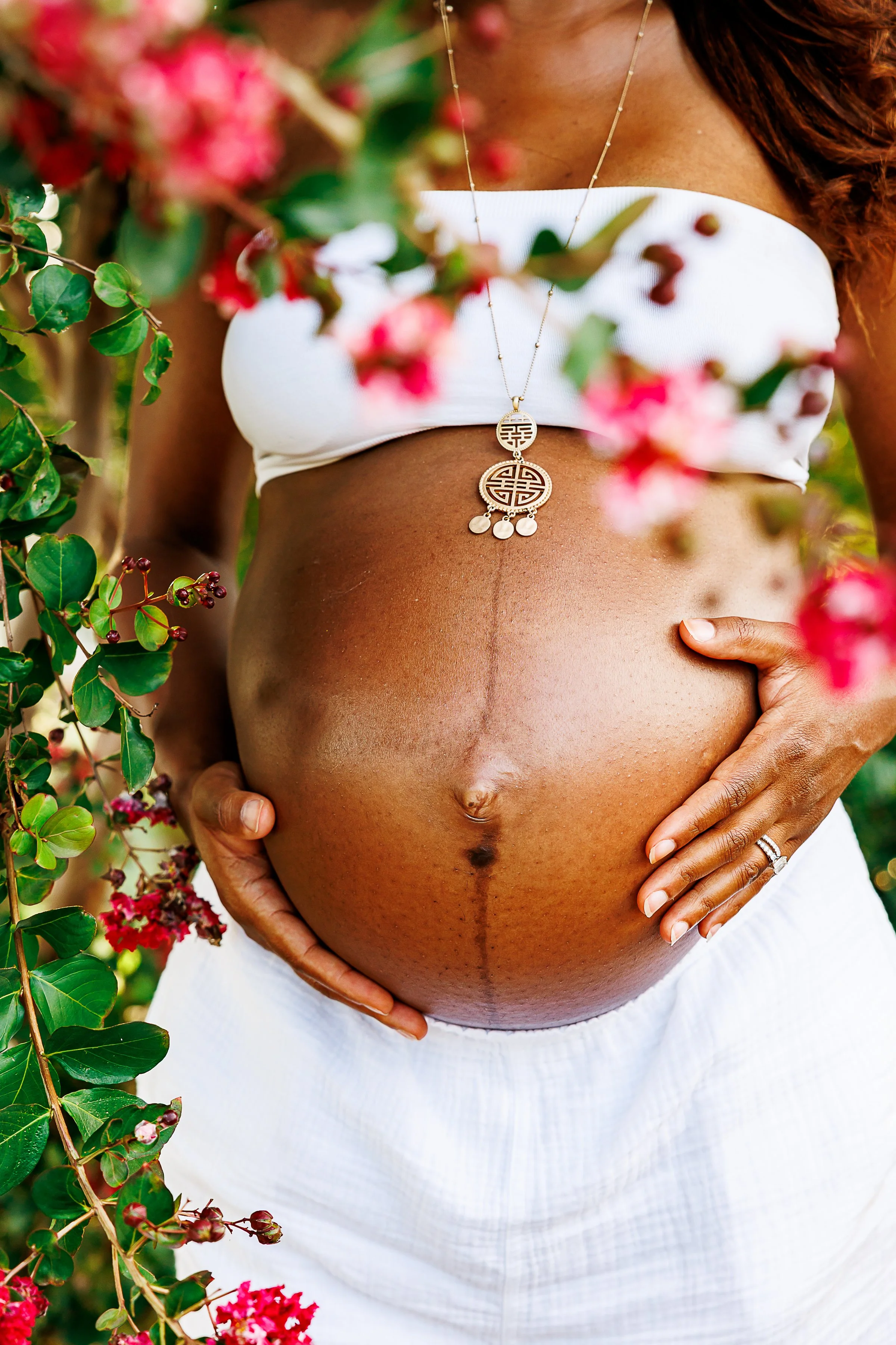 Close-up of a pregnant belly with a hand resting on each side, framed by pink flowering branches, at Libby Hill Park in Richmond, VA.