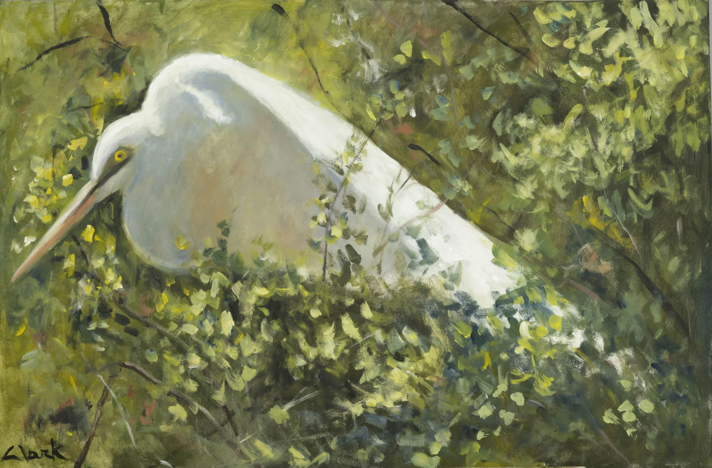 Egret Stance, 24 x 36 x 1.5, #1558.
This painting depicts a single egret positioned within surrounding brush. Soft, light brushwork and subtle shifts in color define the bird and its setting without sharp detail.
