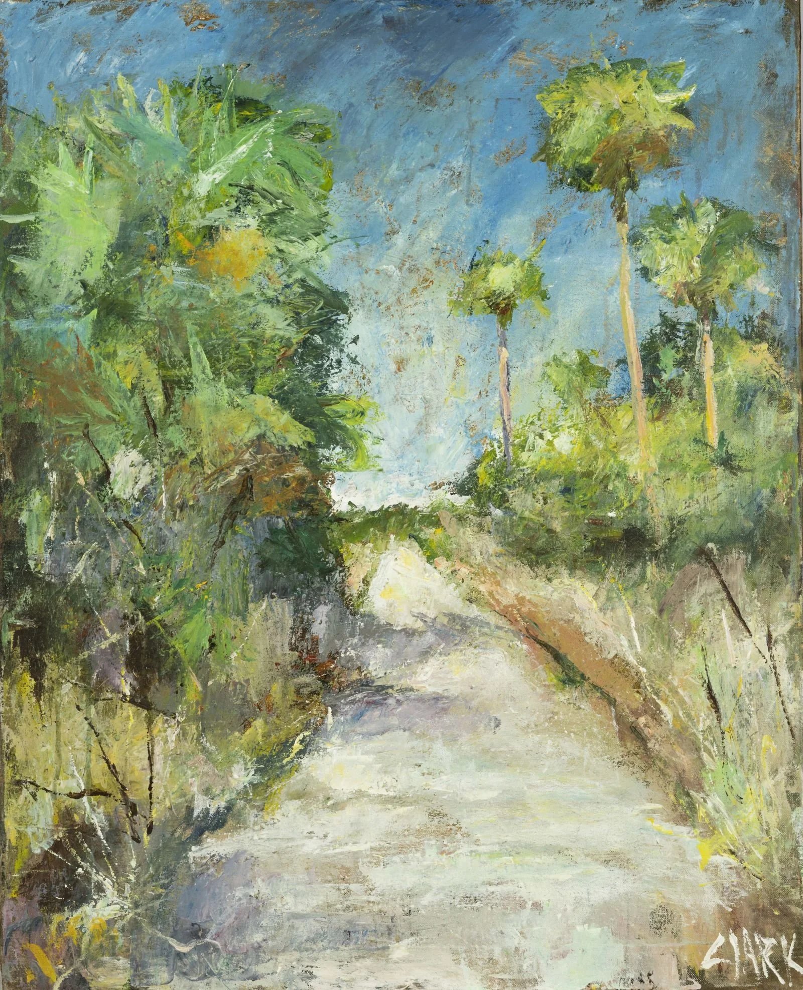 Road to Lake Jessup, 30 x 24, #1509.  This landscape presents a winding road near Lake Jessup in Oviedo, Florida. Expressive brushwork and shifting color create a sense of open space and distant light.