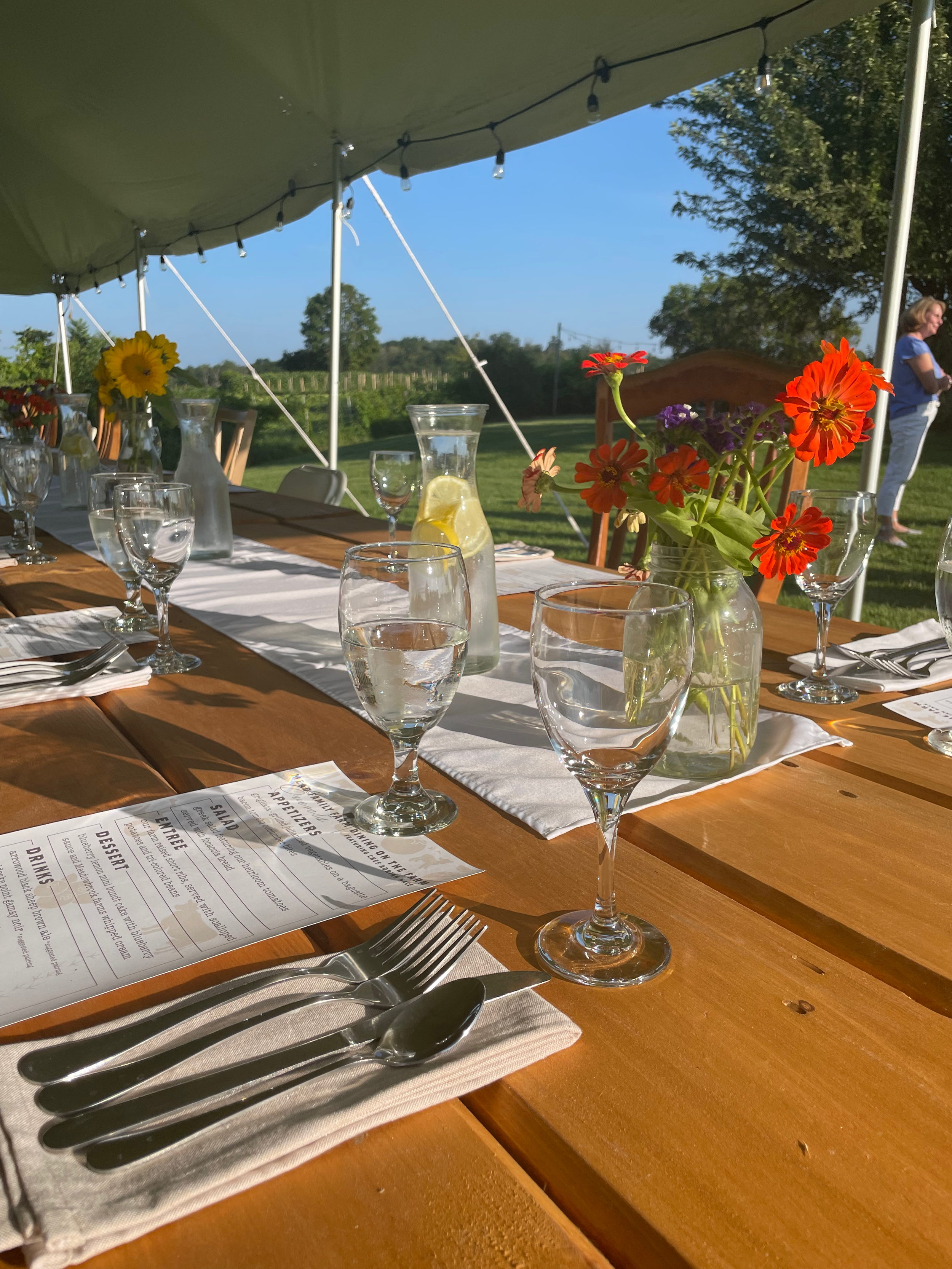 Farm Dining Experience