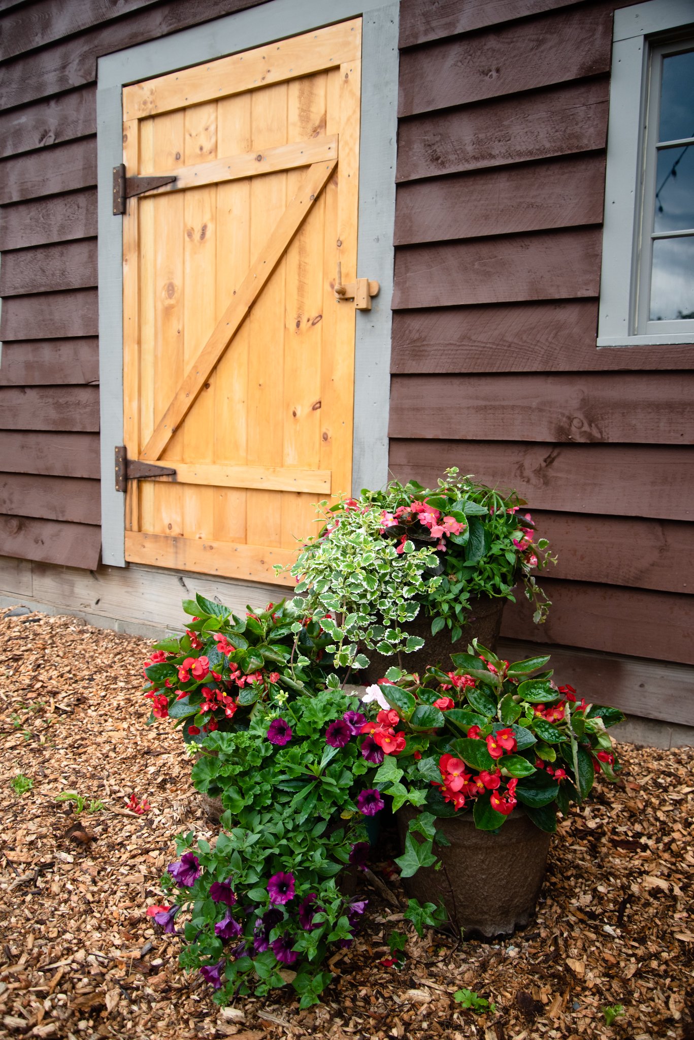 barn flowers.jpeg