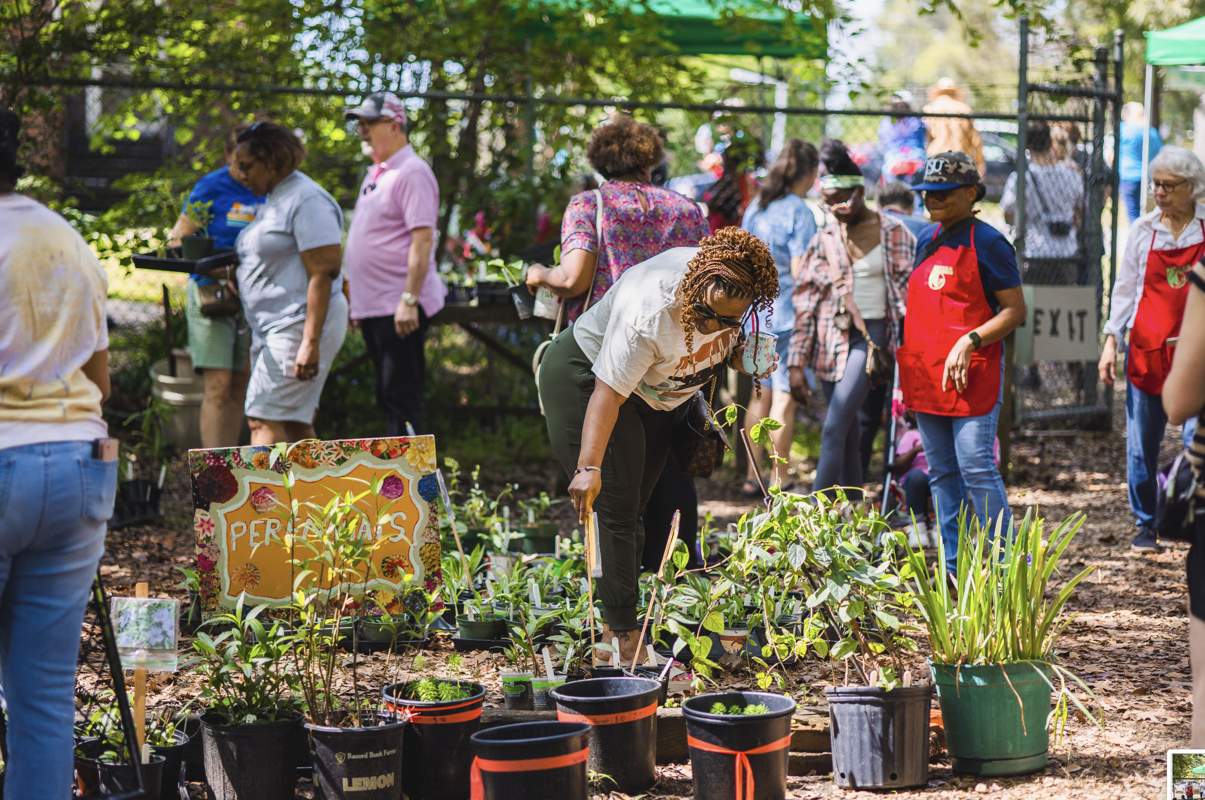 Spring in Bloom: Jackson’s Plant Sales Kick Off Neighborhood Beautification