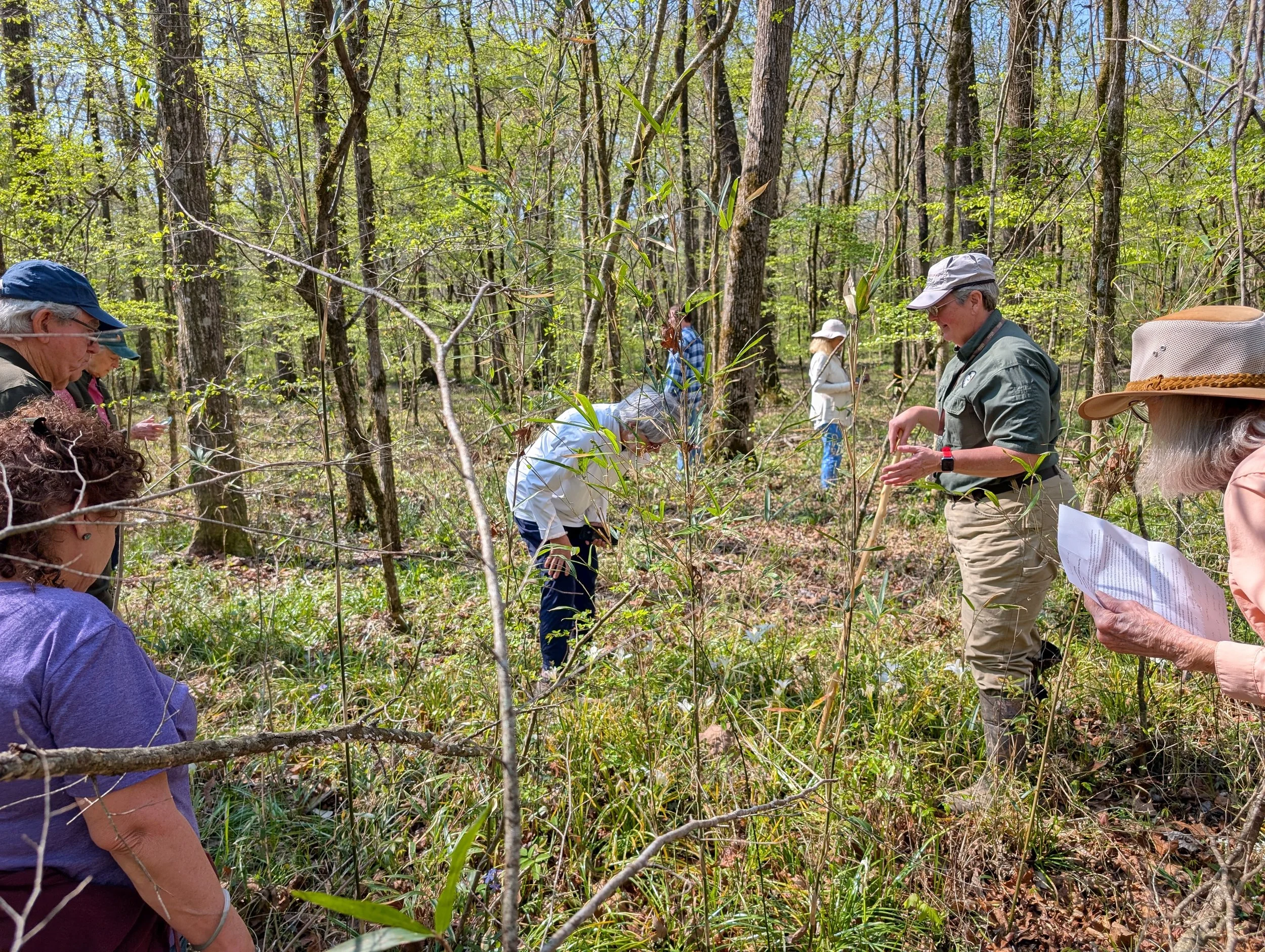 Choosing Local: The Mississippi Native Plant Society’s Presence in Jackson
