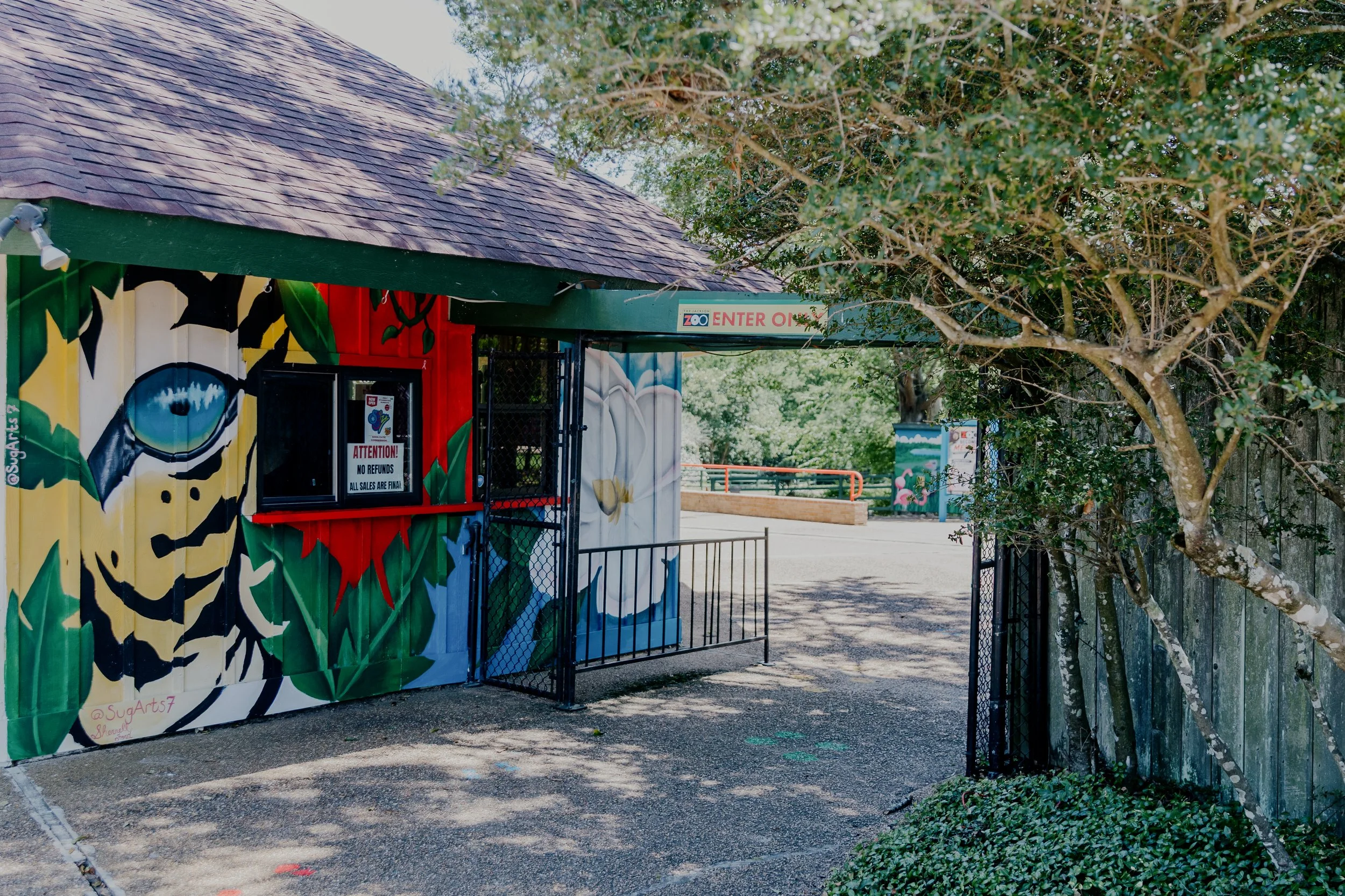 Inside ZAPP’s Efforts to Support the Jackson Zoo and West Jackson