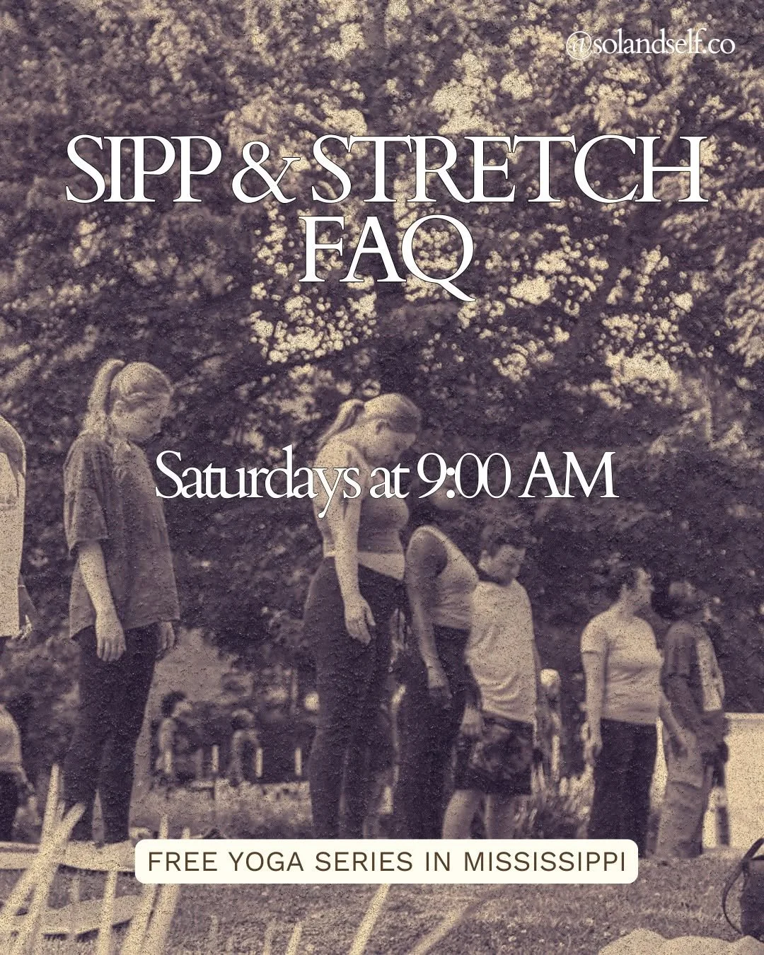 Sipp&Stretch: Free Yoga Series (Week 1)