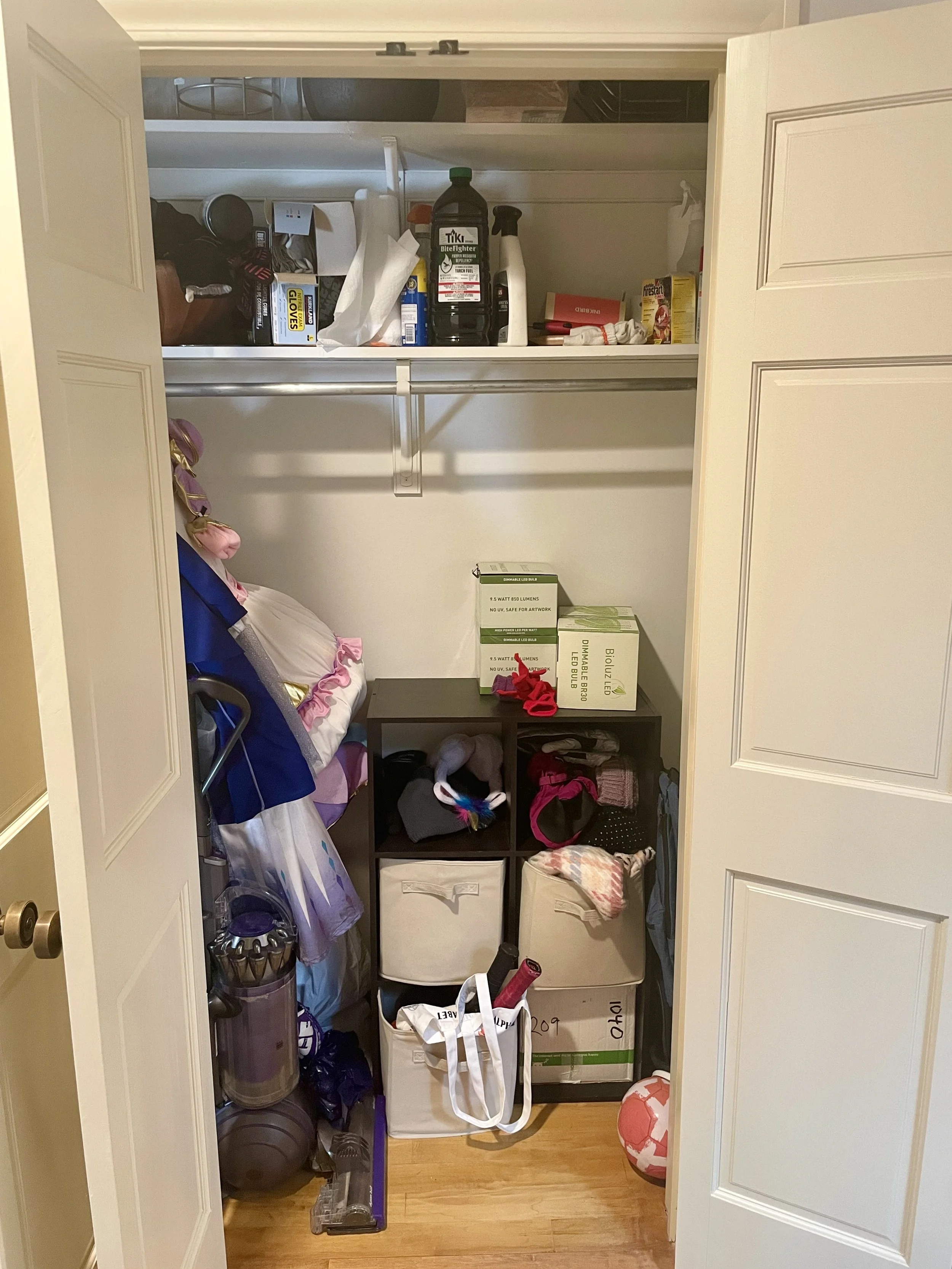 Hallway Closet Before