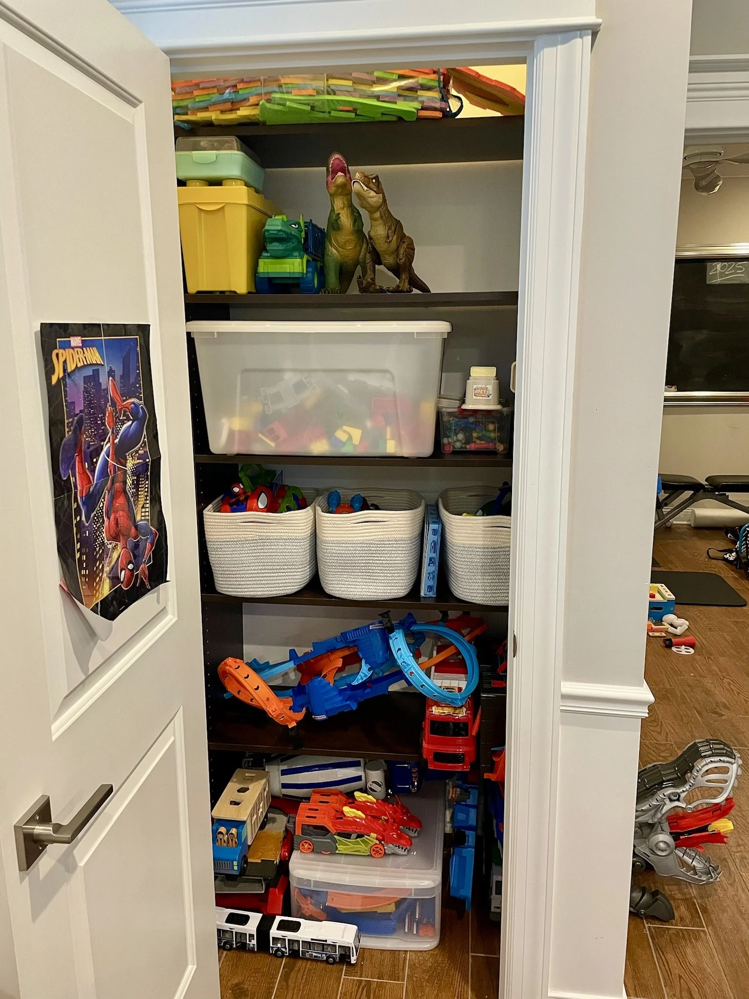 Professional Home Organizer in Chicago. Kids playroom before organizing.