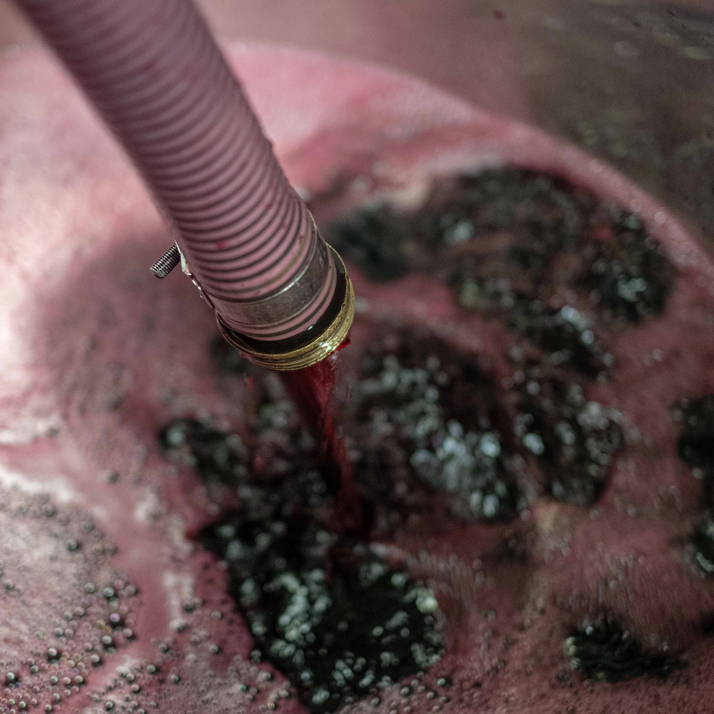 DSCF0422 copy 2.jpeg