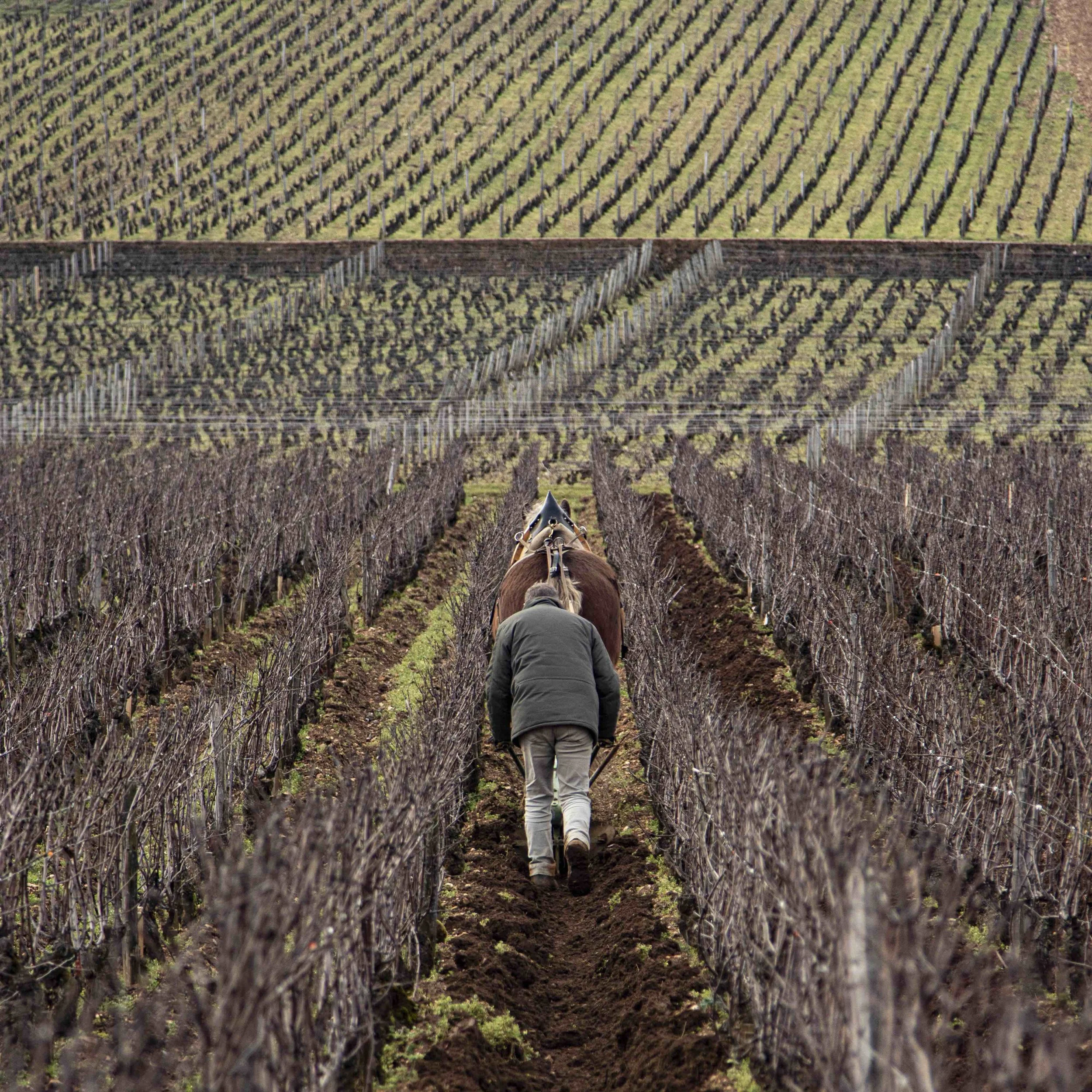 IMG_4991 copy 2.jpeg