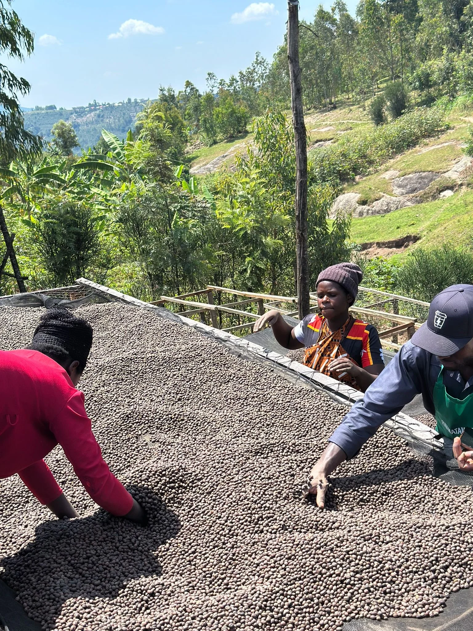 WhatsApp Image 2025-06-16 at 16.39.12 (2).jpeg